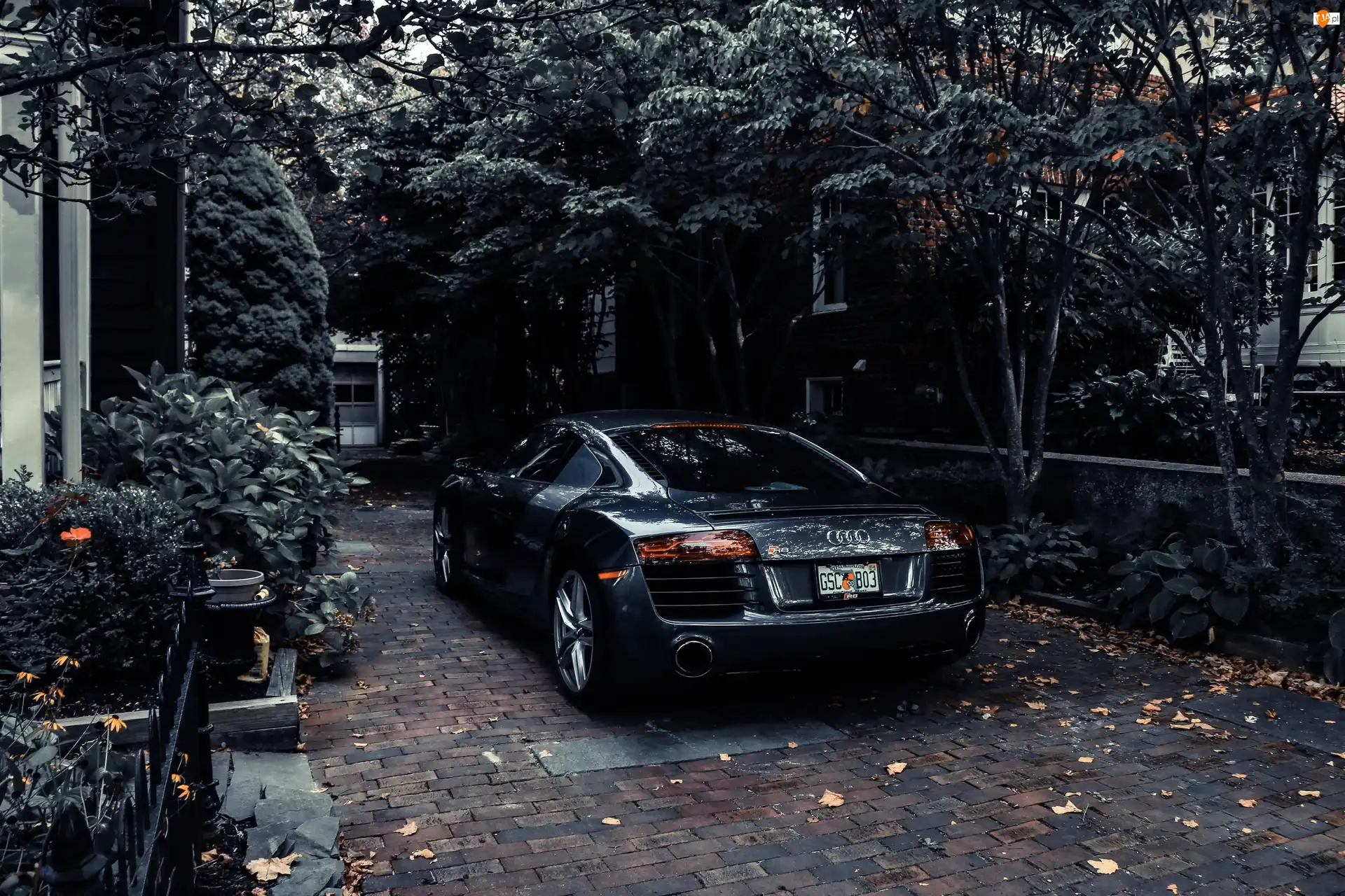Dom, Czarne, Audi R8, Tył