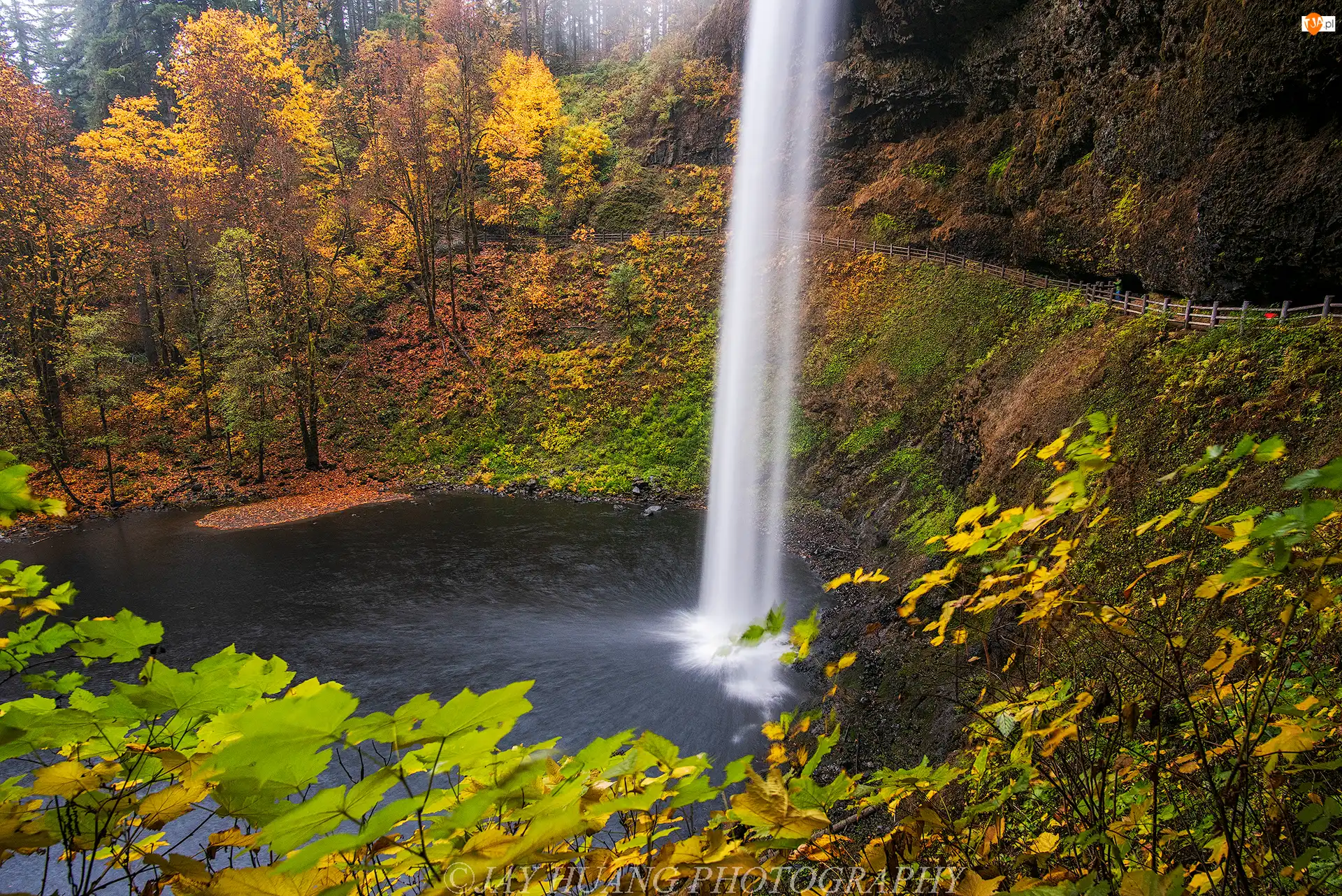 Park miejski Silver Falls, Wodospad South Falls, Jesień, Oregon, Las, Punkt widokowy, Stany Zjednoczone, Drzewa