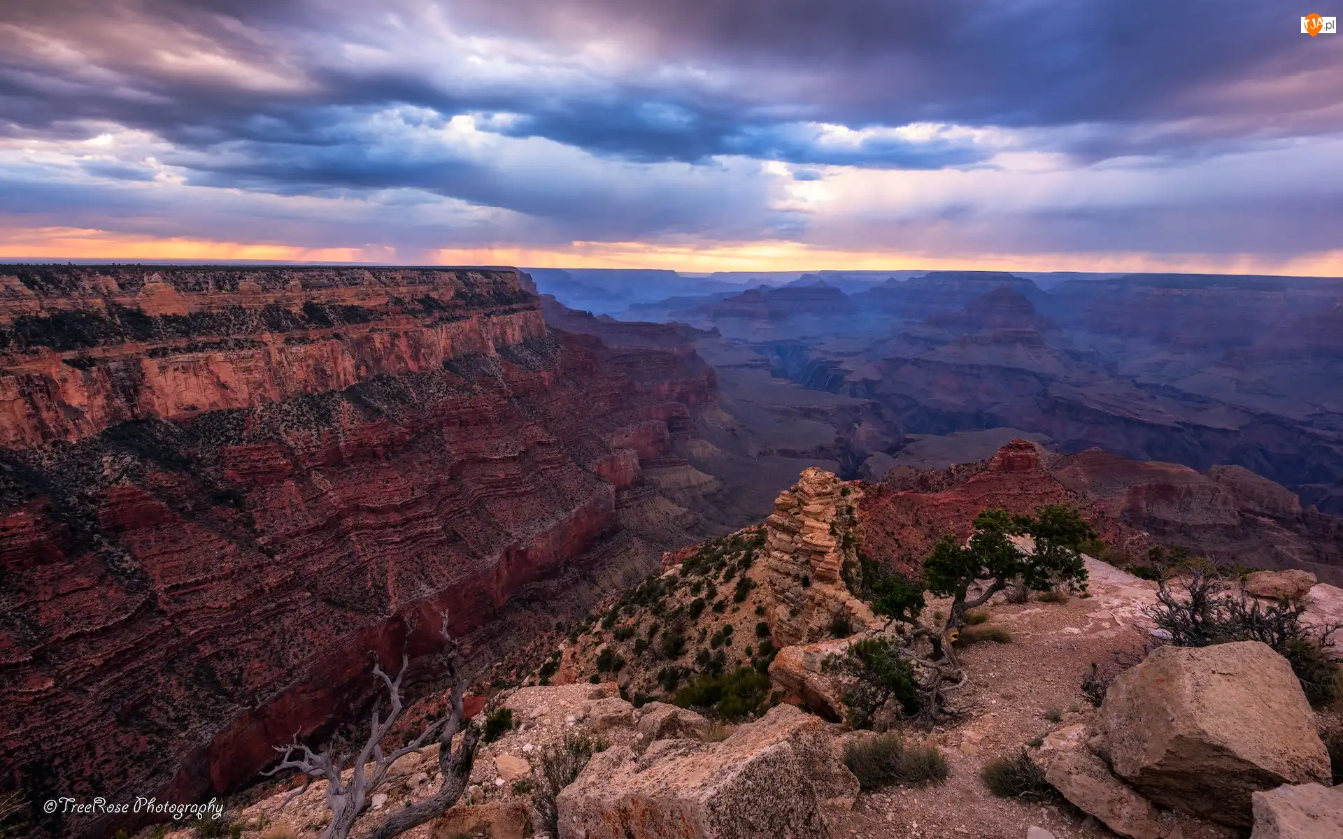 Kolorado, Park Narodowy Wielkiego Kanionu, Drzewa, Stany Zjednoczone, Chmury, Skały, Grand Canyon