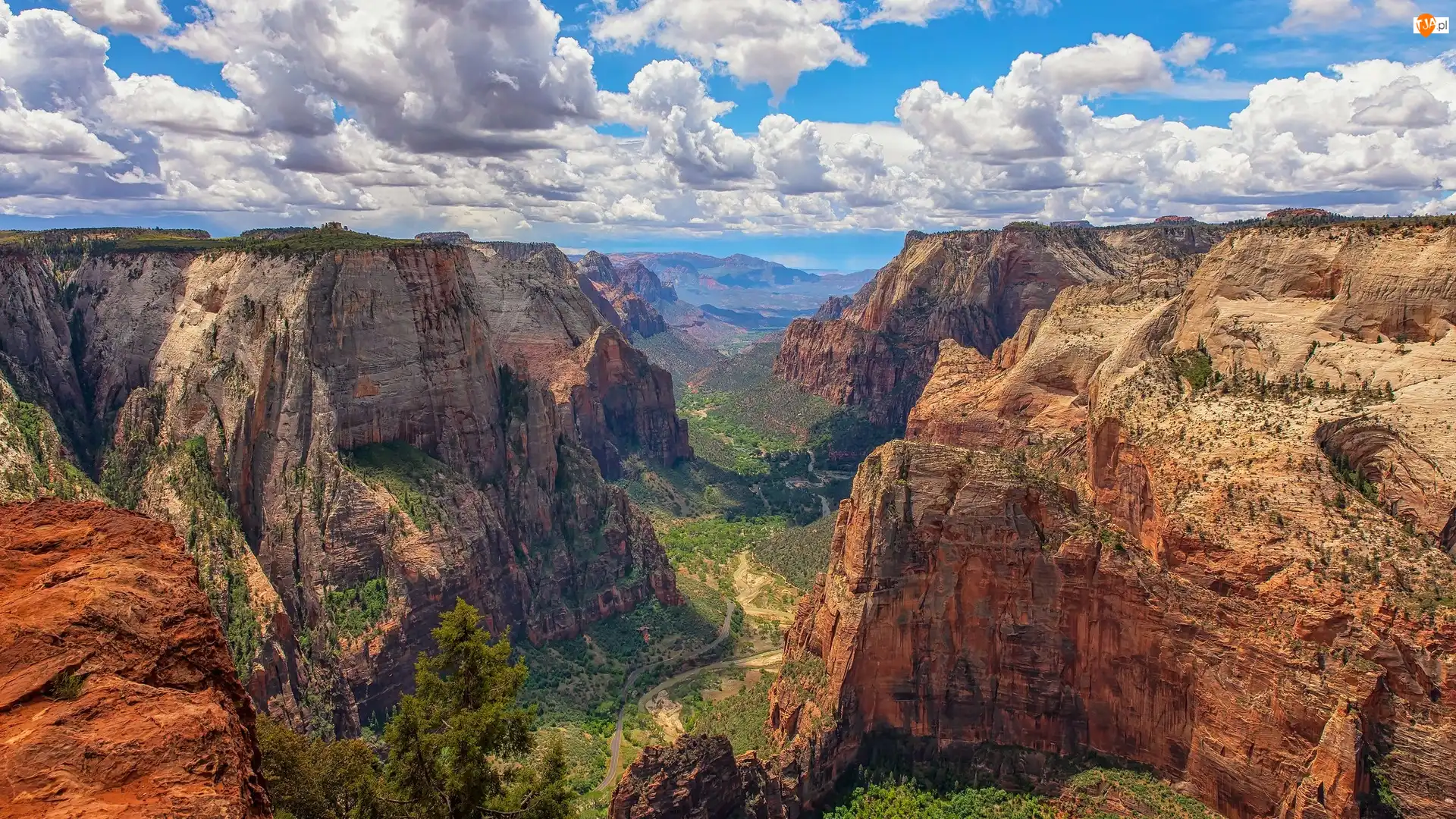 Wąwóz, Góry, Rośliny, Stan Utah, Kanion, Park Narodowy Zion, Stany Zjednoczone, Zion Canyon