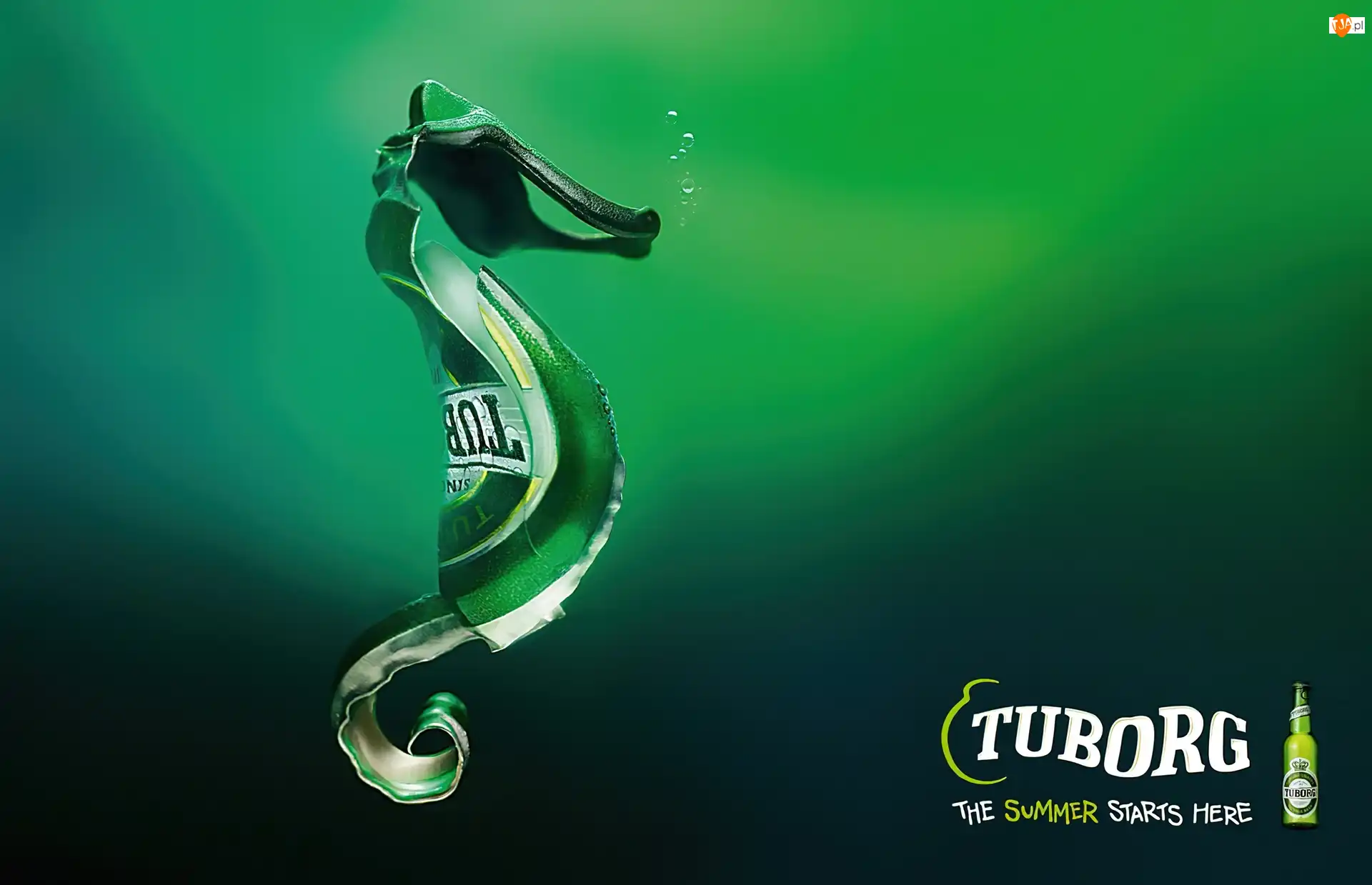 Tuborg, Logo, Kształt, Morskiego, Kapsel, Konika