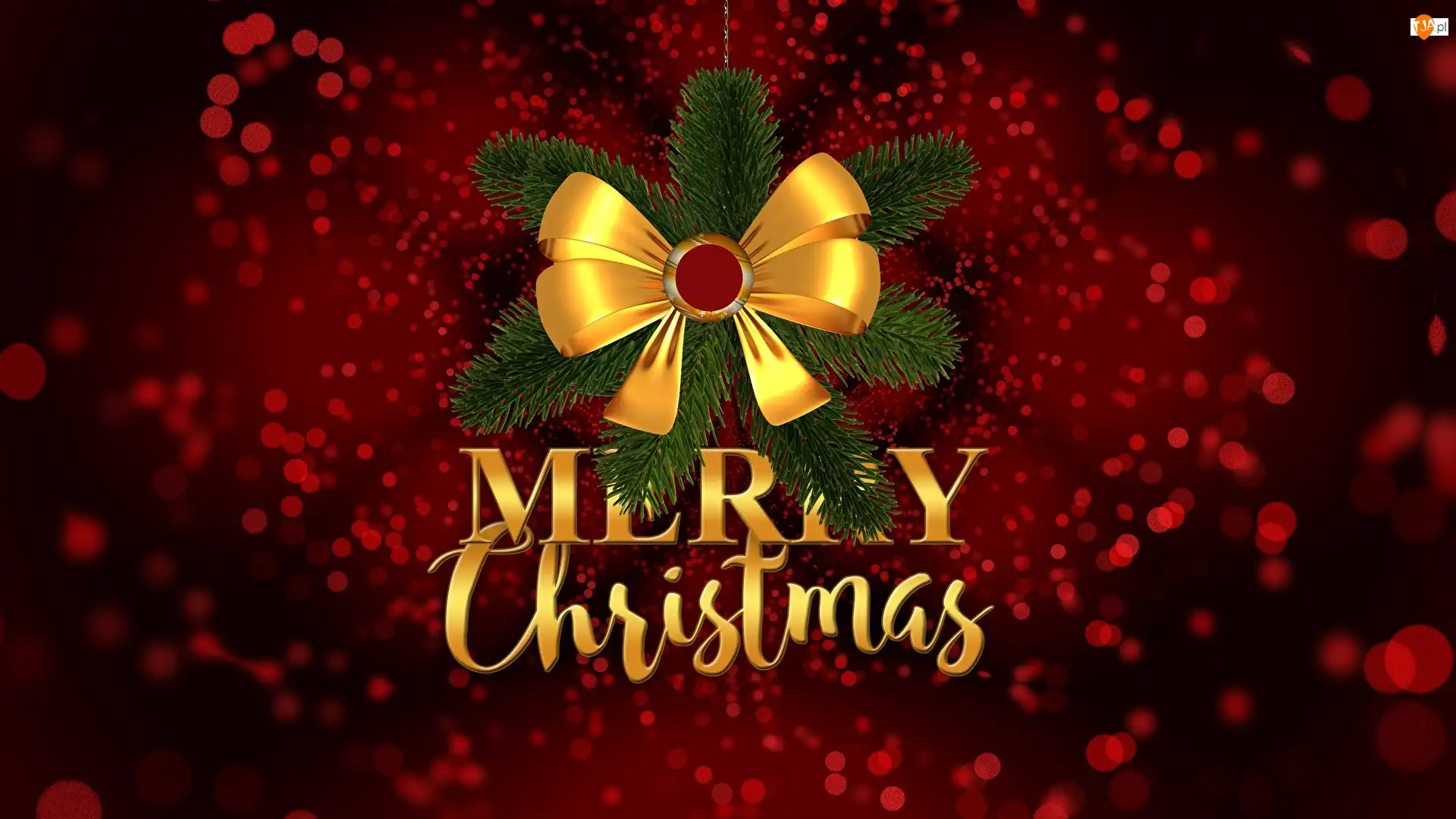 Napis, Boże Narodzenie, Kokarda, 2D, Merry Christmas, Gałązki