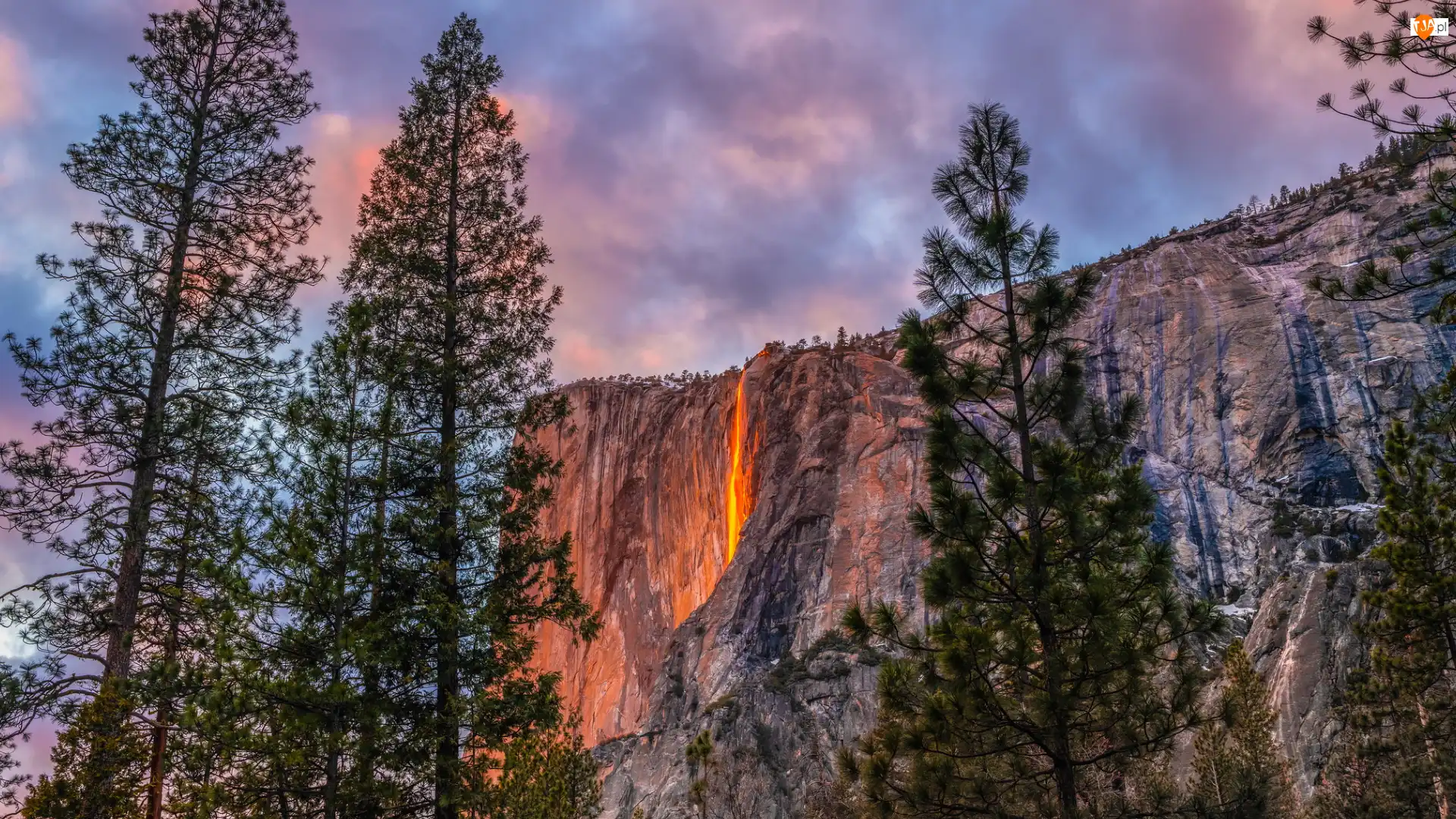 Horsetail Fall, Skalista, Park Narodowy Yosemite, Góra, Poświata, Kalifornia, Yosemite Firefall, Pomarańczowa, Drzewa, Wodospad, Stany Zjednoczone