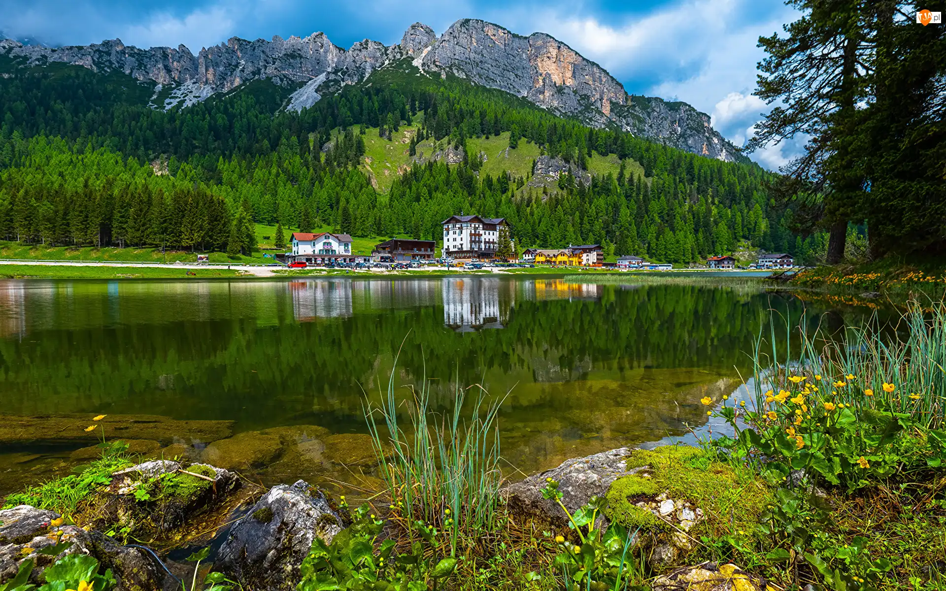 Góry, Domy, Kaczeńce, Jezioro, Belluno, Omszałe, Las, Drzewa, Dolomity, Lago di Misurina, Prowincja, Kamienie, Włochy, Kwiaty