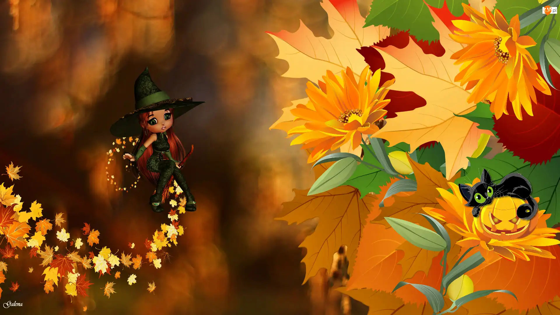 Kot, Liście, Grafika, Wiedźma, Halloween, Jesień, Kwiaty