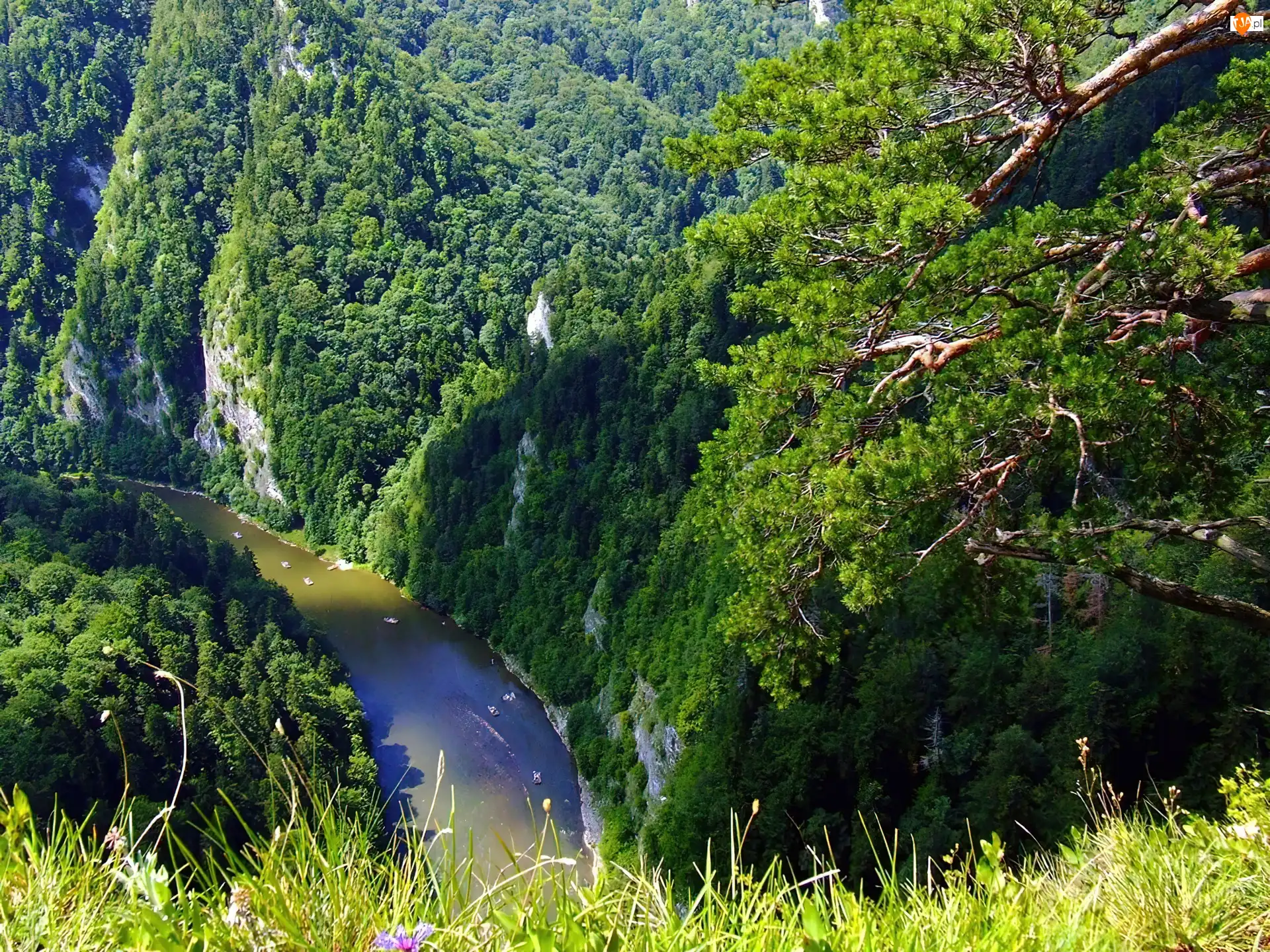Spływ, Pieniny, Rzeka, Dunajec