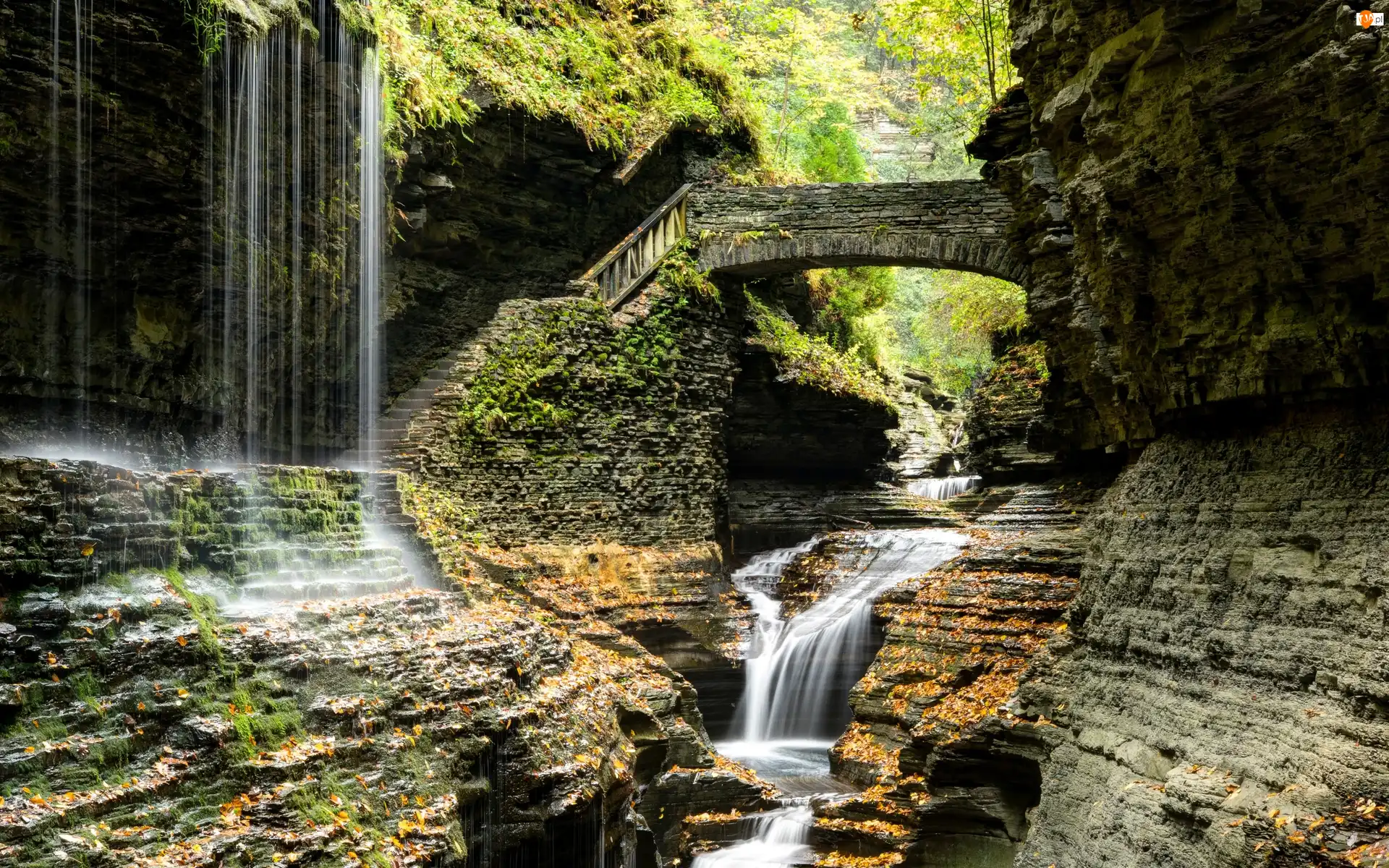Wodospad, Most, Park Narodowy Watkins Glen, Stany Zjednoczone, Skały