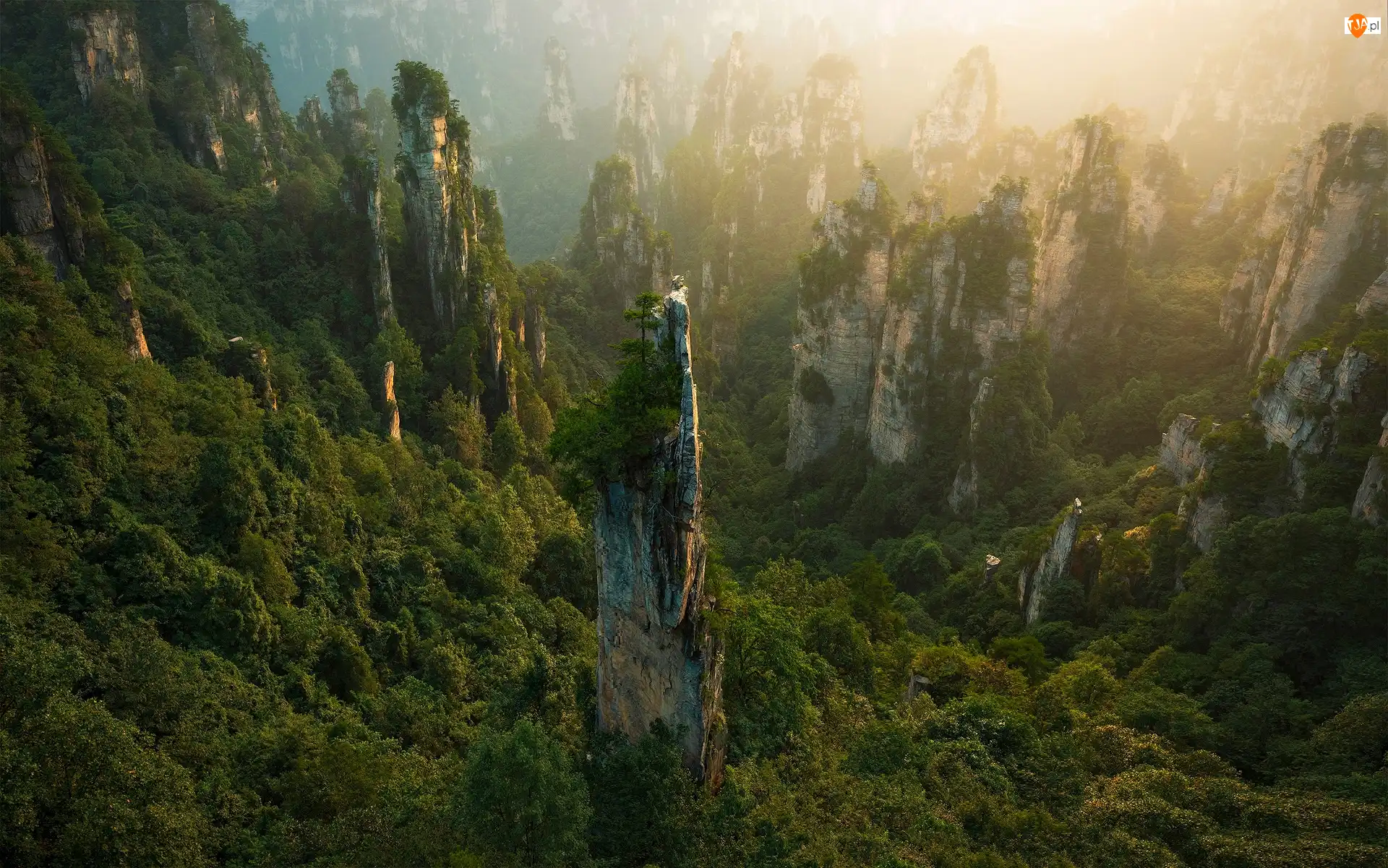 Zhangjiajie National Forest Park, Chiny, Skały, Las, Hunan