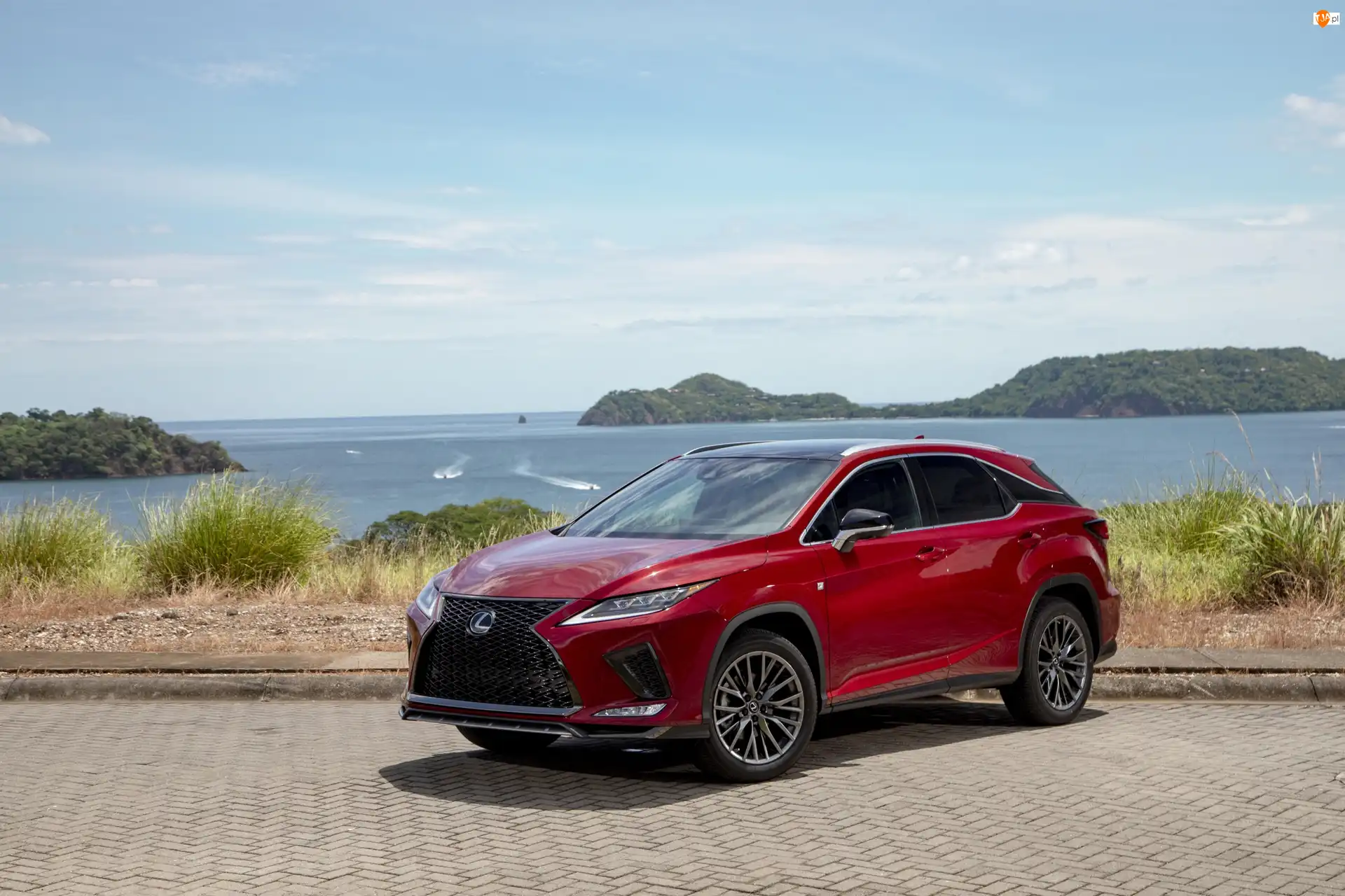 Lexus RX 350 F