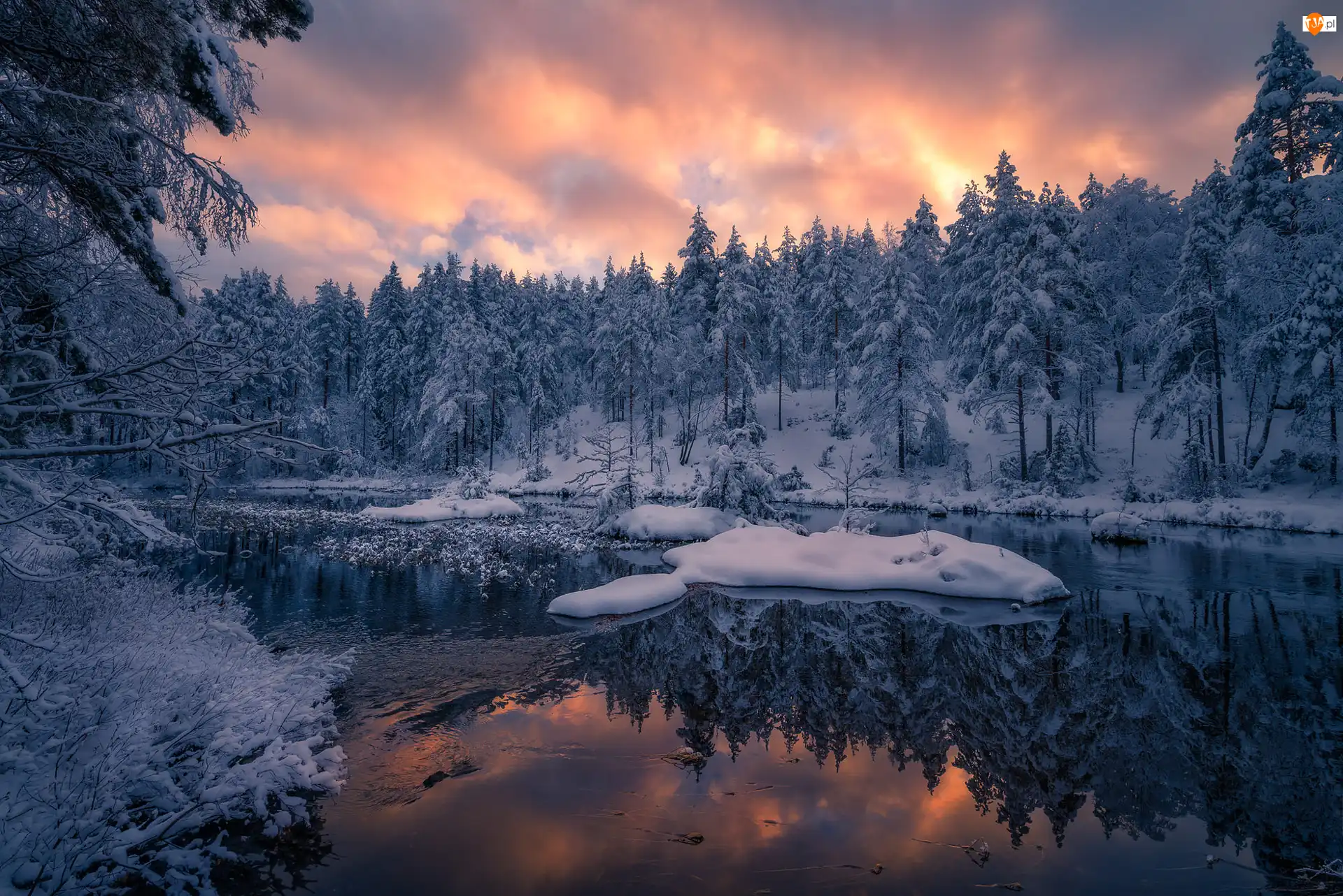 Gmina Ringerike, Norwegia, Zima, Śnieg, Jezioro, Drzewa