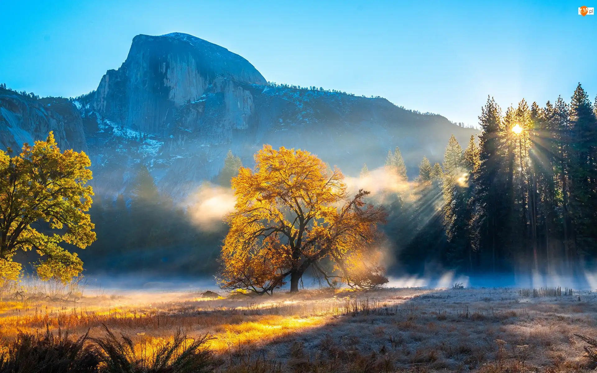 Góry, Stany Zjednoczone, Góra Half Dome, Drzewa, Kalifornia, Jesień, Mgła, Park Narodowy Yosemite