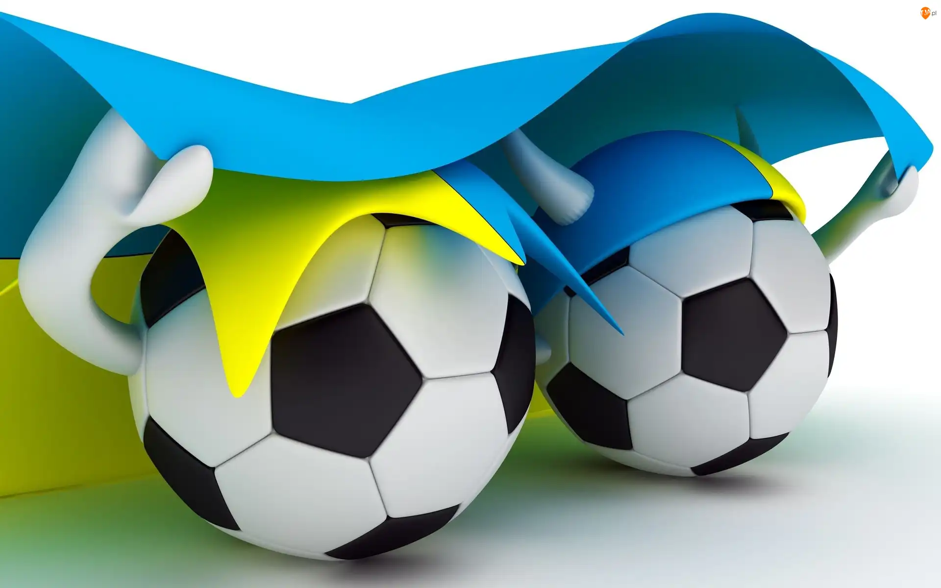 Euro 2012, Piłki