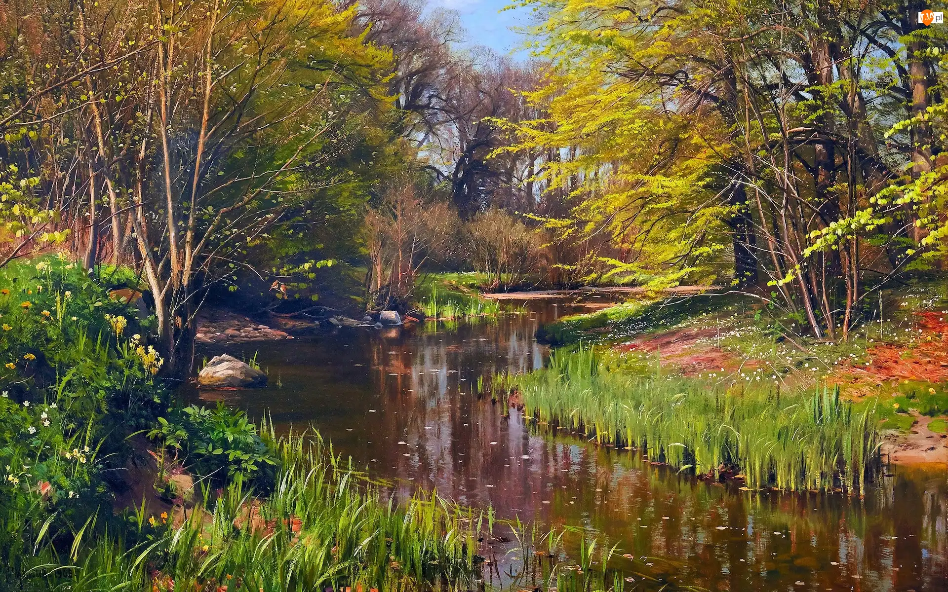 Peder Mork Monsted, Las, Szuwary, Reprodukcja obrazów, Drzewa, Roślinność, Rzeka