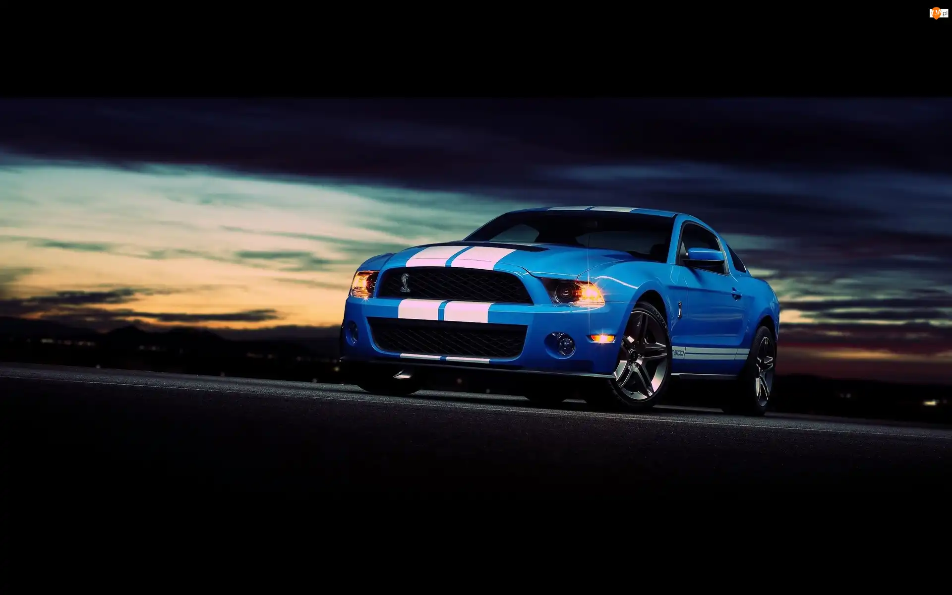 Gt500, Ford, Mustang, Shelby