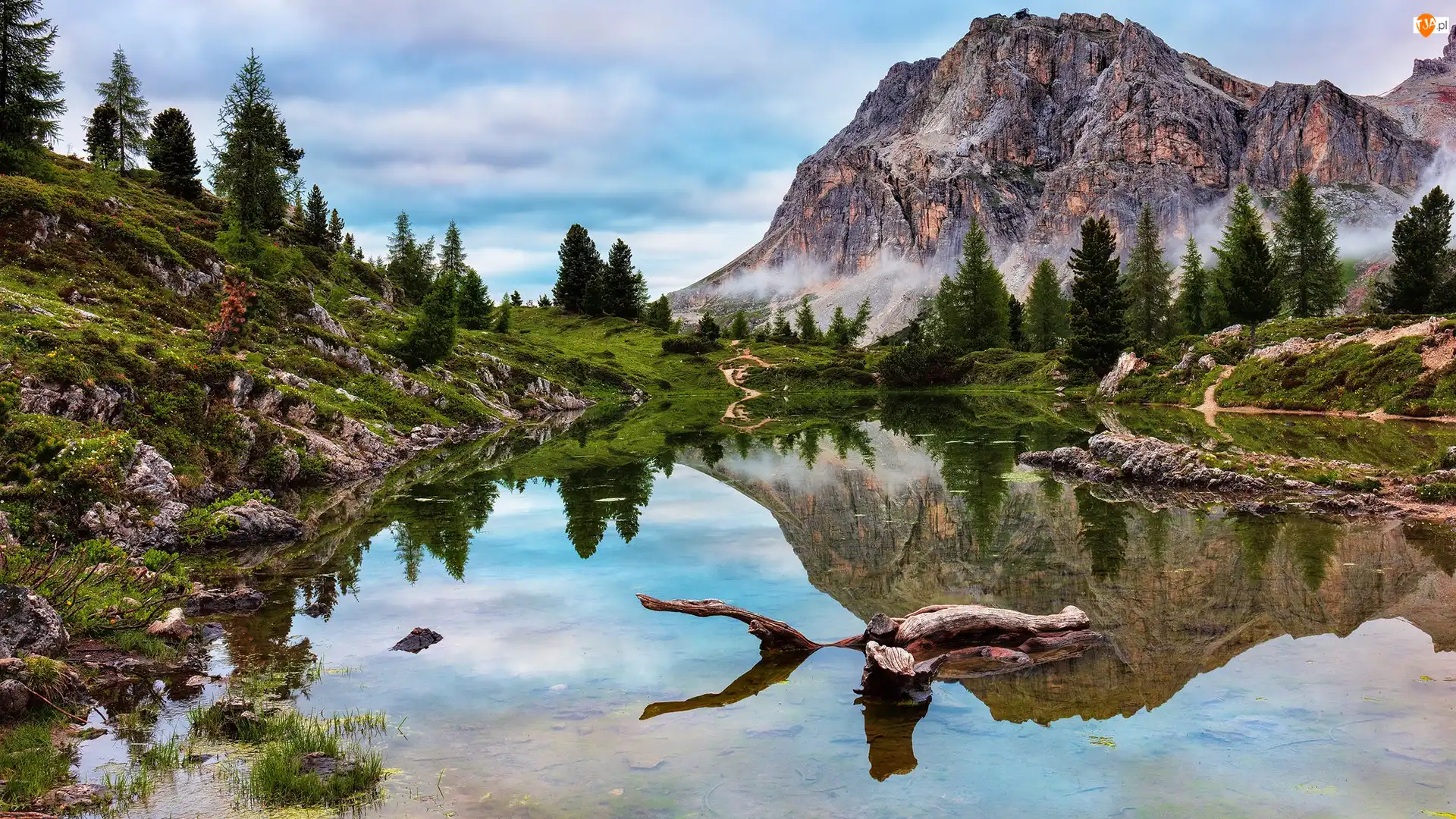 Lago di Limides, Góry, Włochy, Jezioro, Odbicie, Drzewa, Dolomity