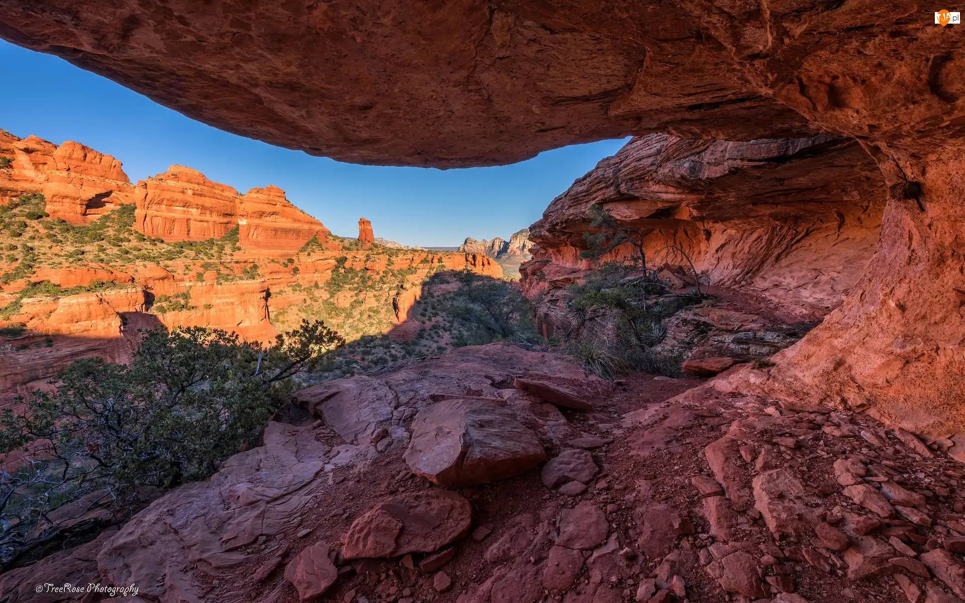 Arizona, Stany Zjednoczone, Skały, Krzewy, Sedona, Czerwone