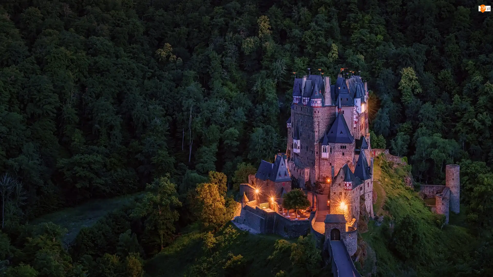 Drzewa, Góry Eifel, Noc, Gmina Wierschem, Oświetlony, Las, Niemcy, Zamek Eltz