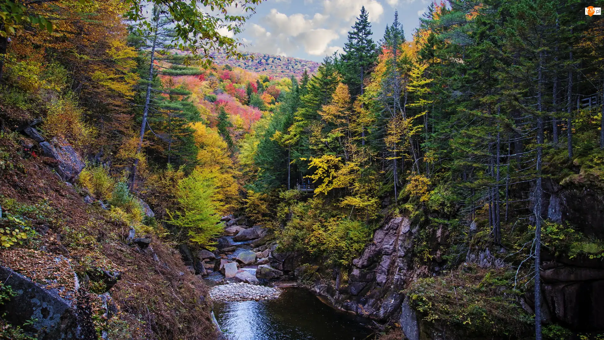Jesień, Rzeka, Las, Stan New Hampshire, Pemigewasset River, Drzewa, Stany Zjednoczone, Skały