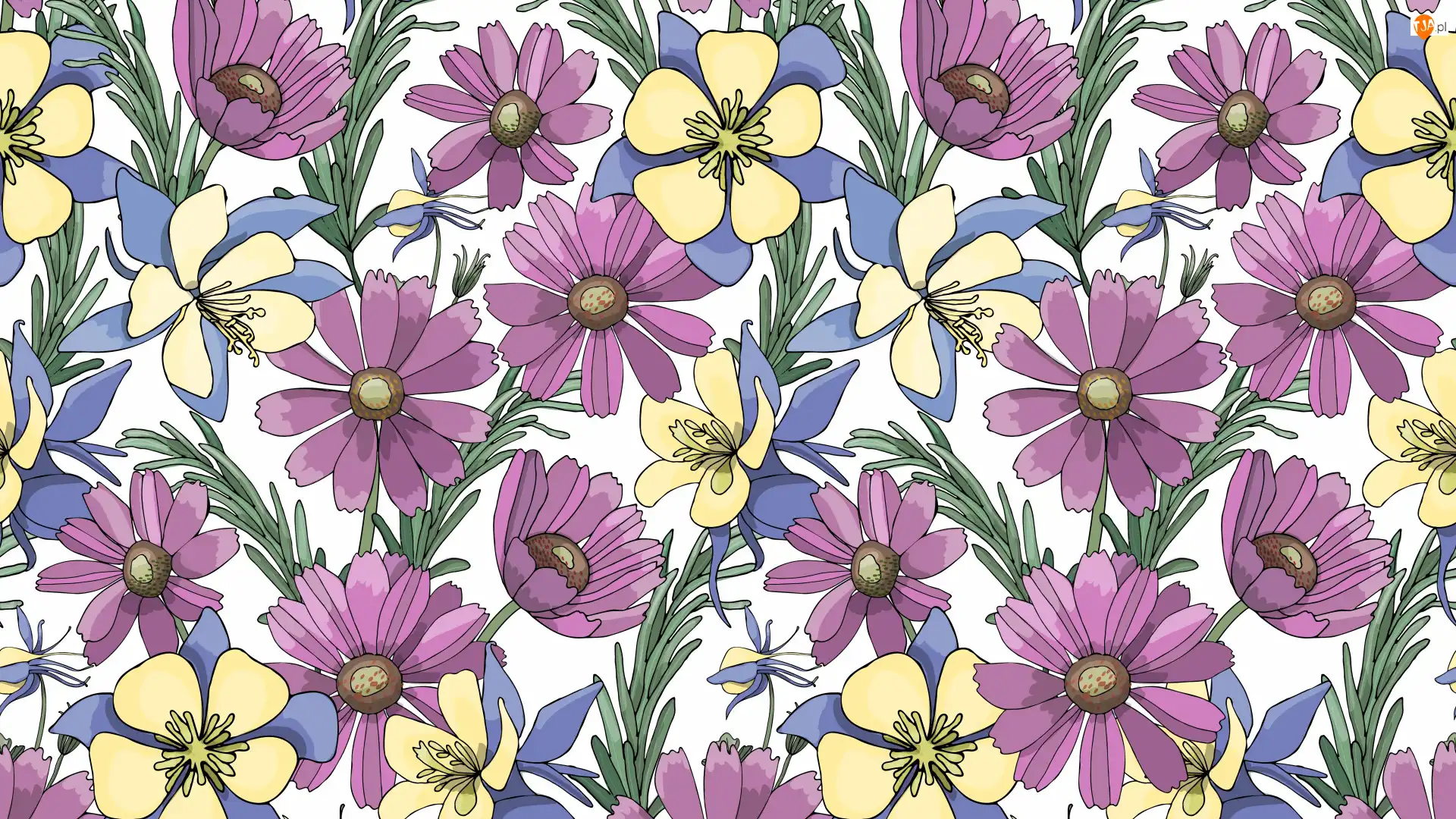 Grafika 2D, Kwiaty, Kolorowe
