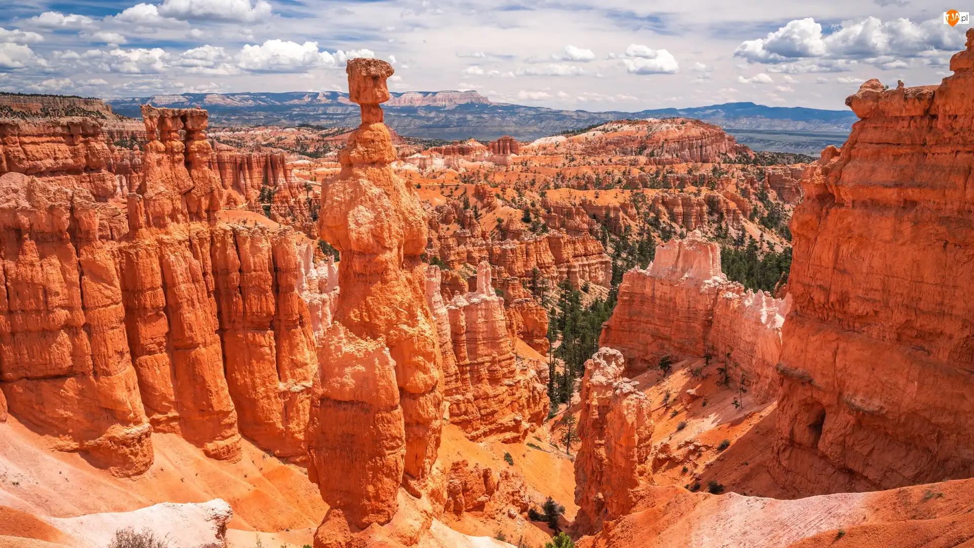 Stan Utah, Park Narodowy Bryce Canyon, Chmury, Stany Zjednoczone, Roślinność, Skały, Formacje skalne