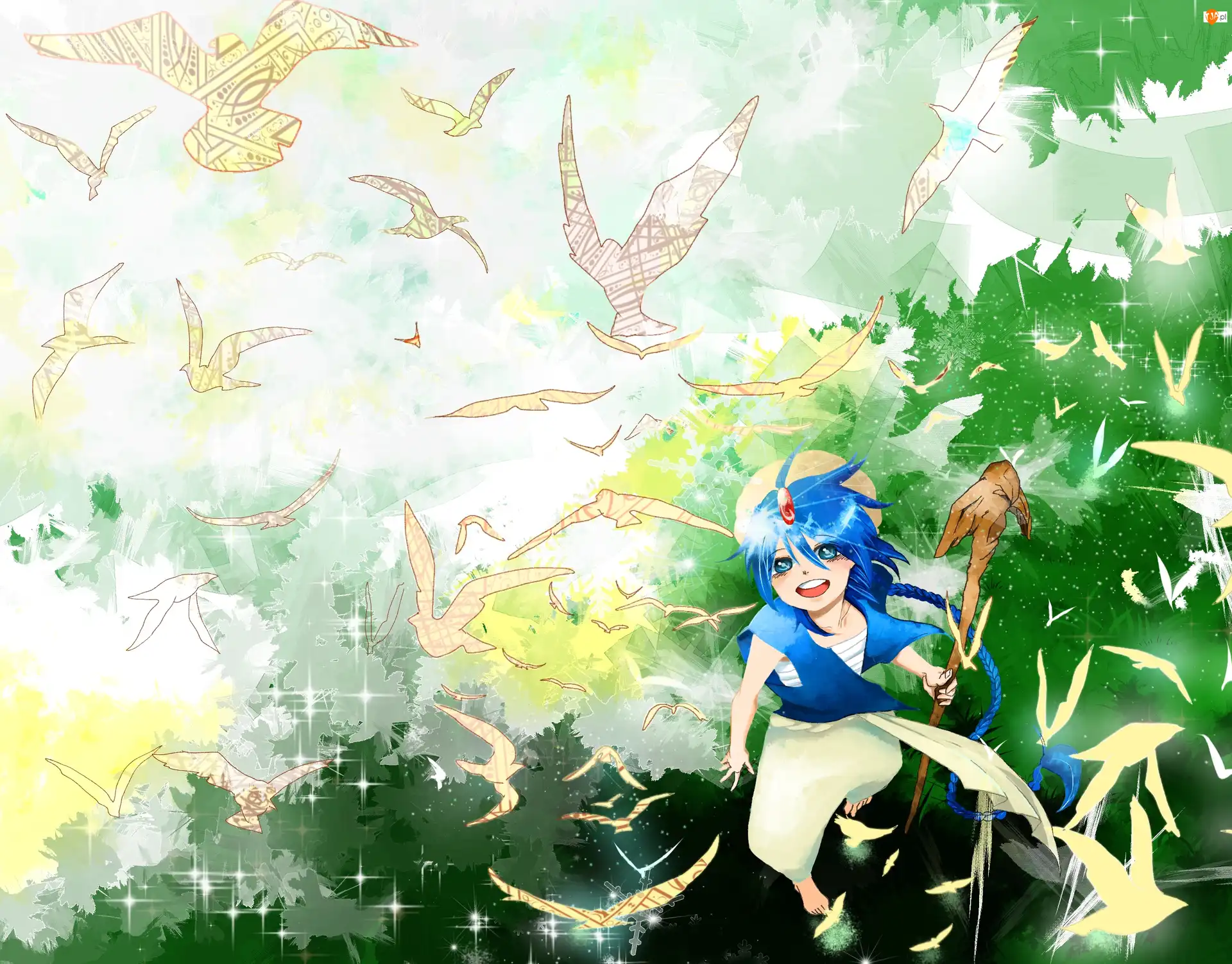 Manga, Magi, Aladdin, Anime