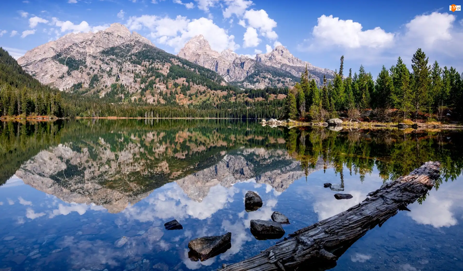 Chmury Odbicie, Wyoming, Drzewa, Taggart Lake, Las, Stany Zjednoczone, Góry, Park Narodowy Grand Teton, Jezioro