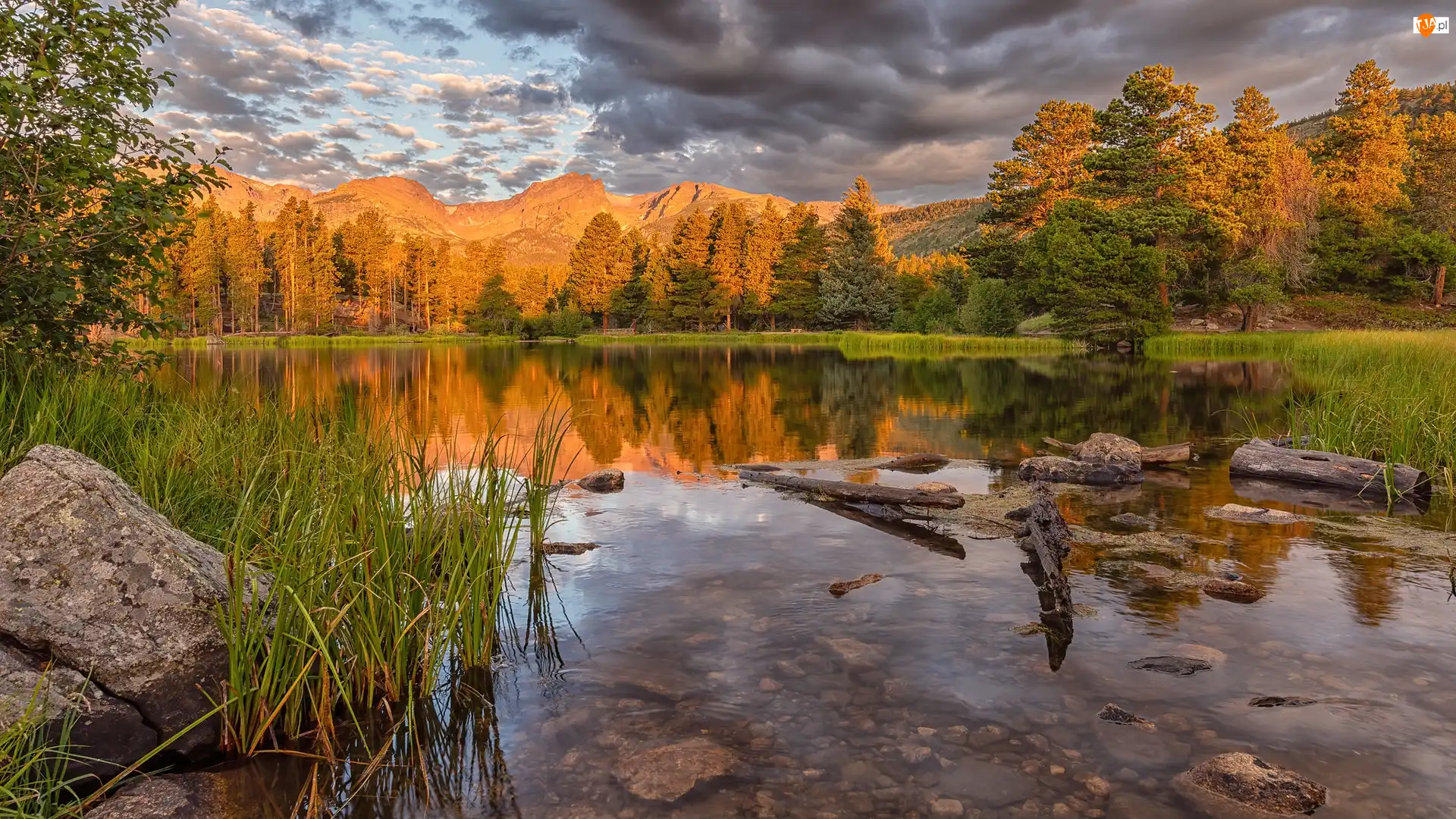 Drzewa, Stany Zjednoczone, Jezioro, Kamienie, Kolorado, Spraque Lake, Wschód słońca, Park Narodowy Gór Skalistych