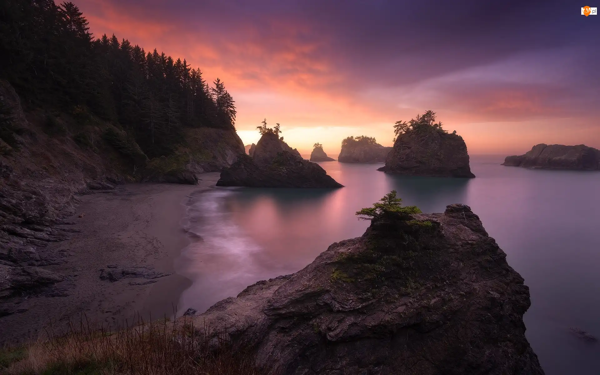 Samuel H Boardman State Scenic Corridor, Wschód słońca, Drzewa, Oregon, Morze, Wybrzeże Park stanowy, Stany Zjednoczone, Skały