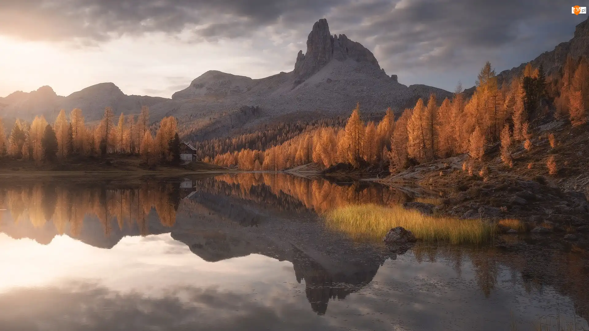 Odbicie, Jesień, Drzewa, Lago Federa, Prowincja Belluno, Włochy, Dolomity, Góry, Jezioro, Modrzewie