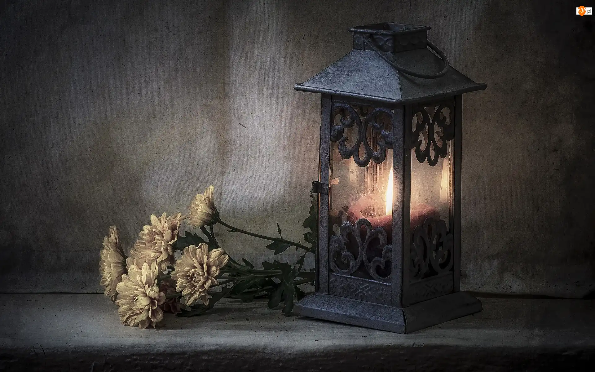 Płomień, Chryzantemy, Świeca, Lampion, Kwiaty