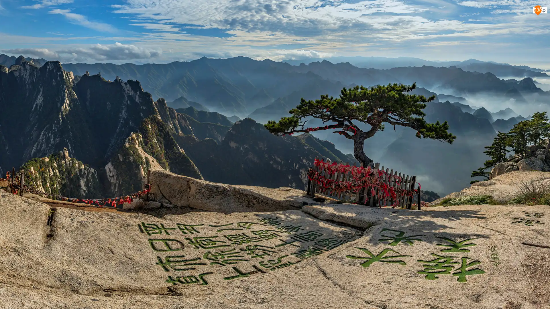 Skały, Prowincja Shaanxi, Drzewa, Znaki, Sosna, Huayin, Góry, Chiny, Mount Hua