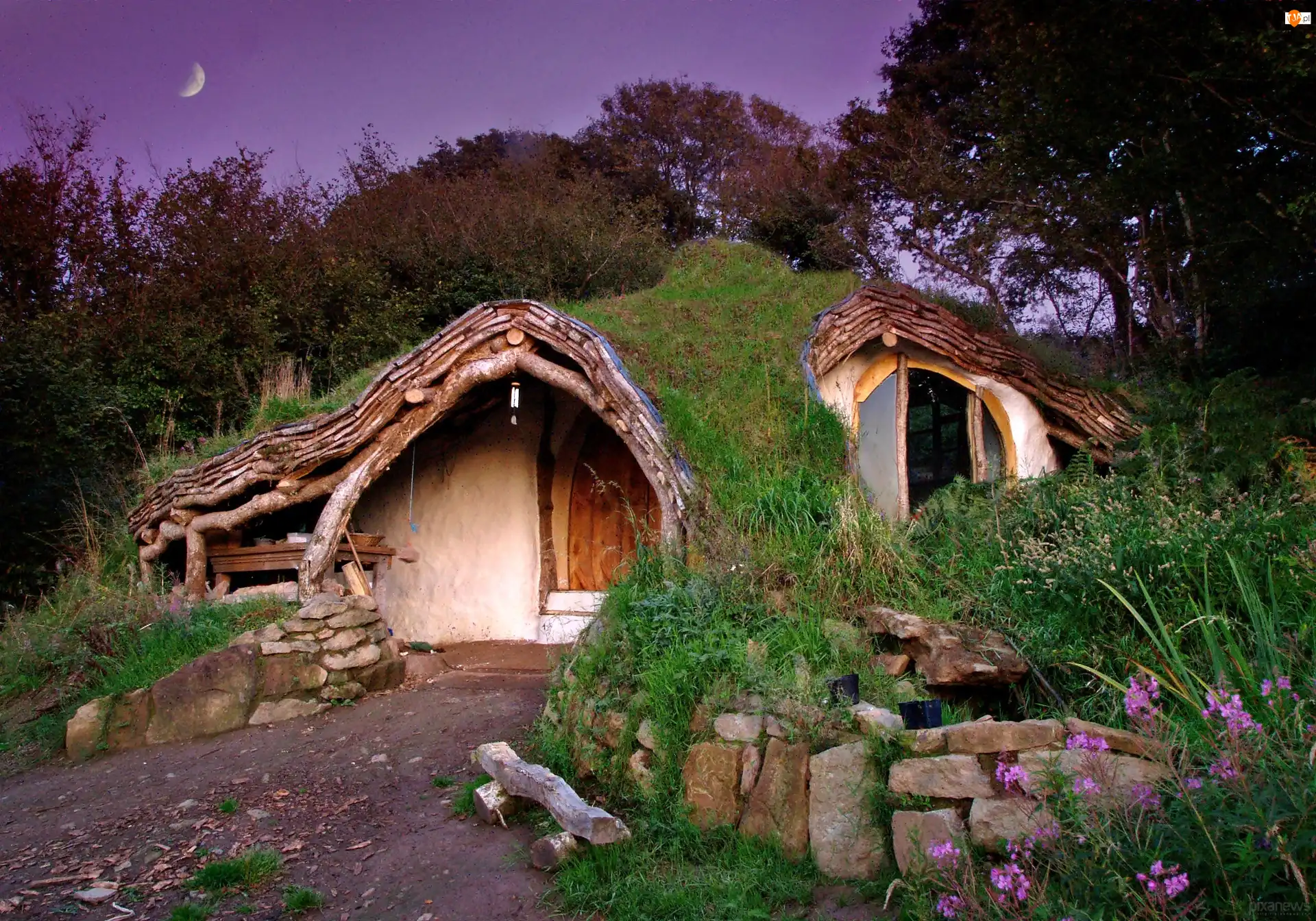 Domek, Roślinność, Księżyc, Noc, Hobbita