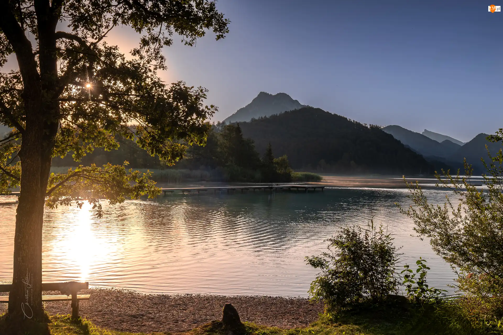 Wschód słońca, Góry, Krzewy, Drzewo, Ławka, Alpy, Jezioro, Austria, Fuschlsee Lake