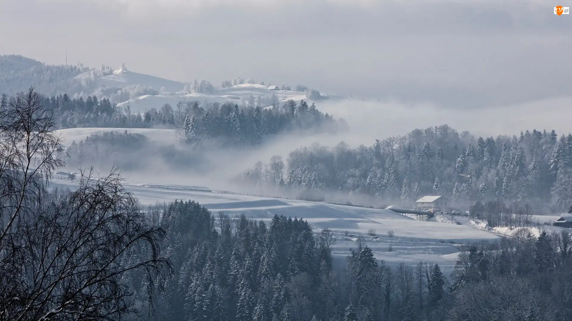Wzgórza, Zima, Mgła, Miejscowość Hirzel, Śnieg, Domy, Szwajcaria, Drzewa