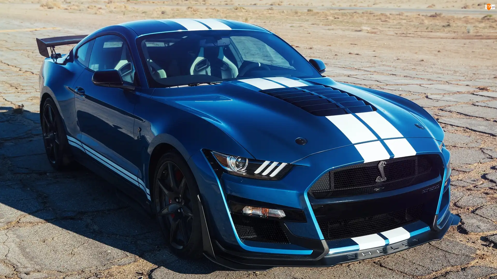 2019, Ford Mustang Shelby GT500