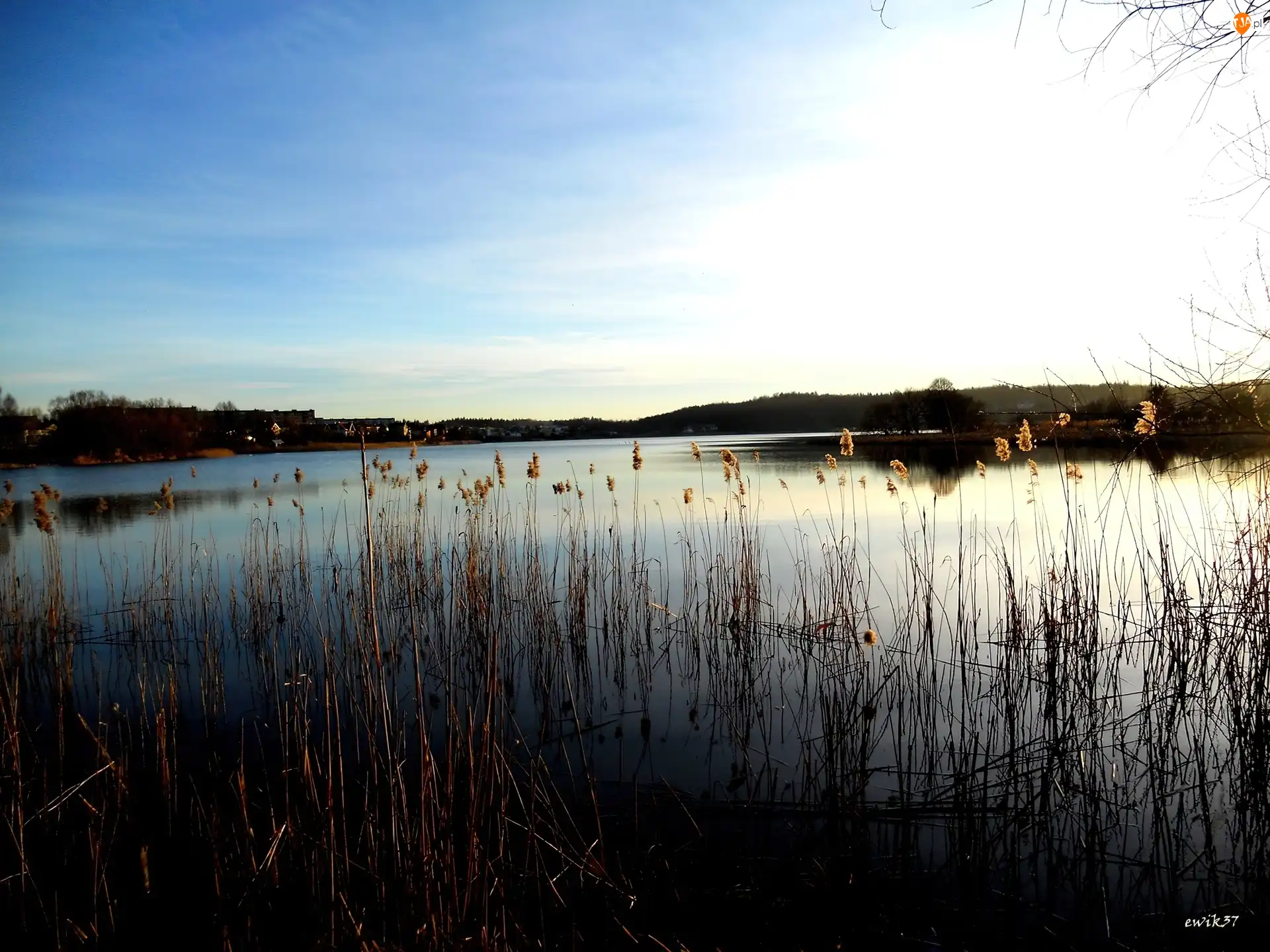 Trawy, Błękitne, Niebo, Jezioro