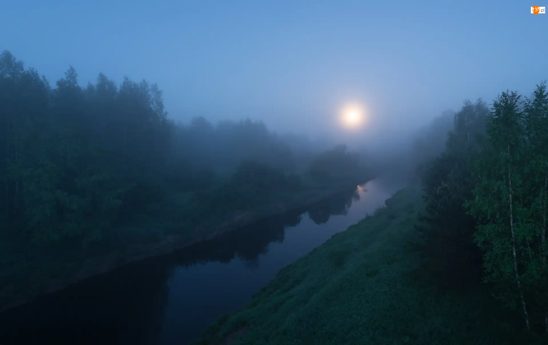 Drzewa, Wschód słońca, Rzeka, Mgła, Świt