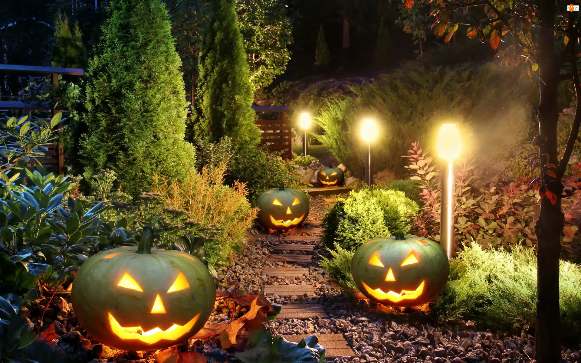 Halloween, Świecące, Dynie