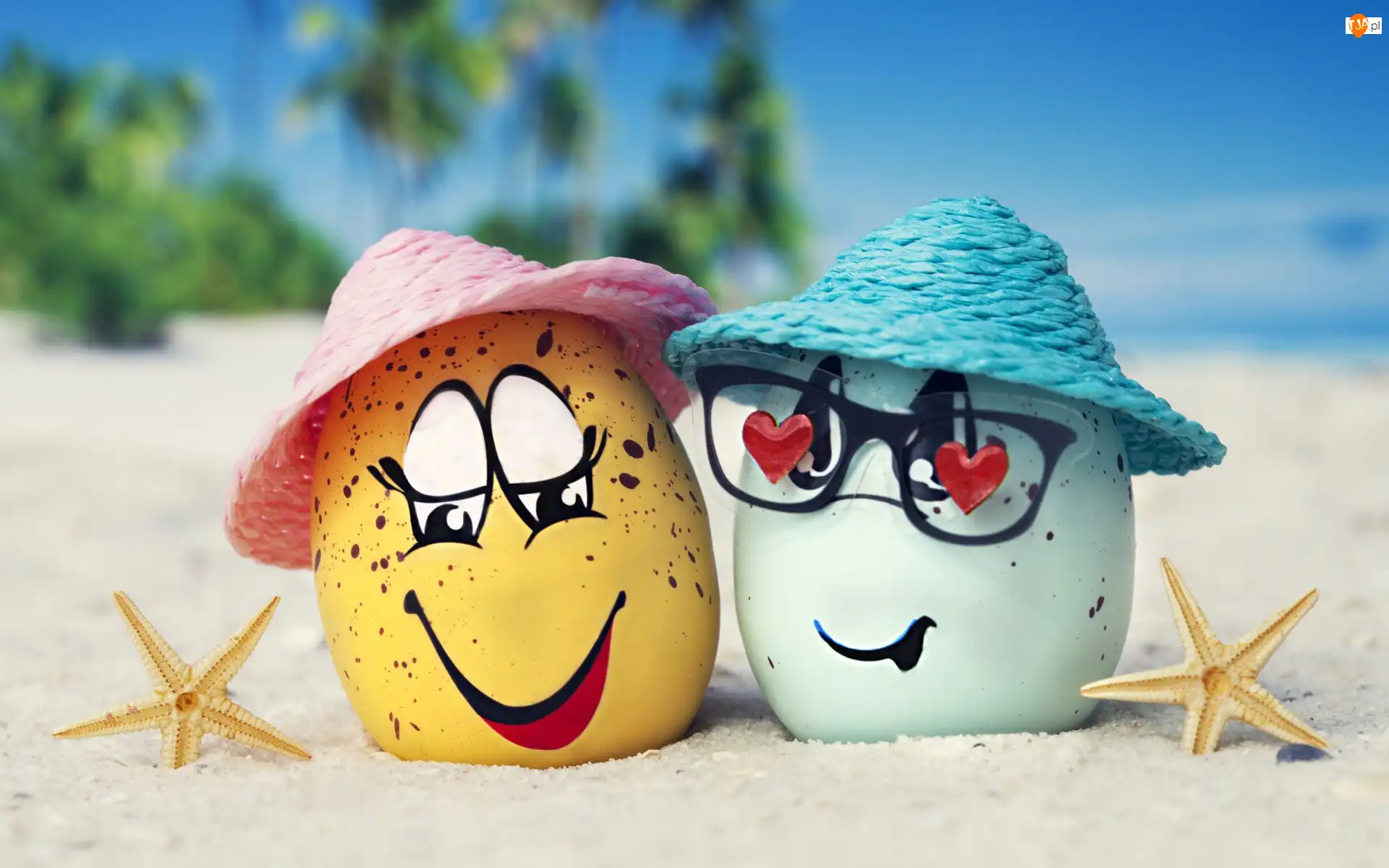 Okulary, Plaża Wakacje, Śmieszne, Jajka, Kapelusze