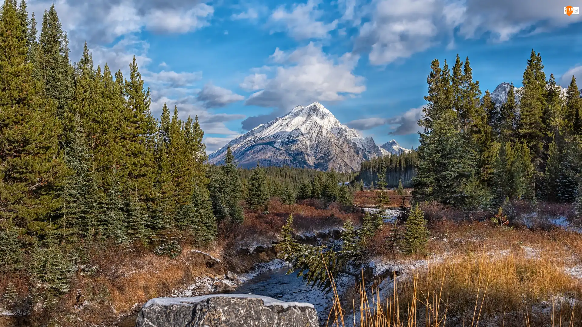 Drzewa, Sucha, Kananaskis Country, Trawa, Rzeka, Alberta, Skały, Góry Skaliste, Obszar, Smuts Creek, Kanada