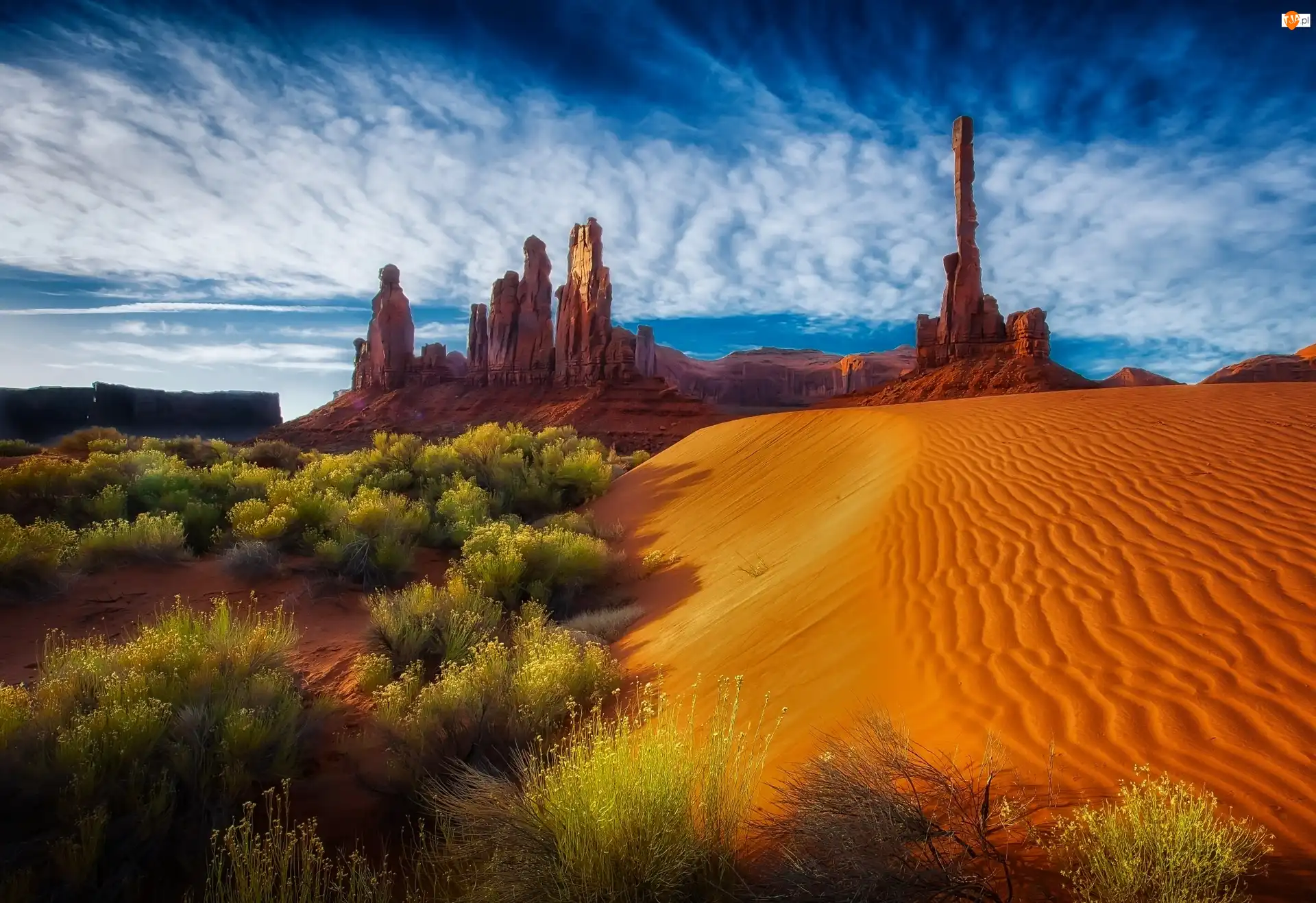 Skały, Pustynia, Niebo, USA, Krzewy, Arizona