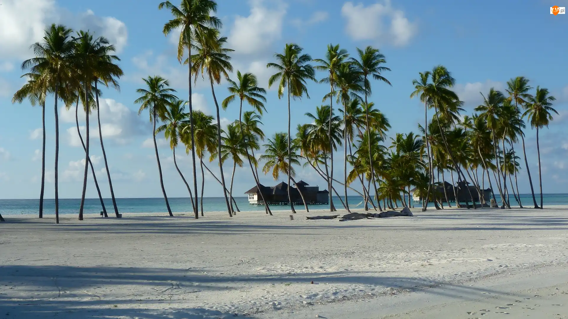 Morze, Budynki, Malediwy, Plaża, Wyspa Lankanfushi, Niebo, Palmy