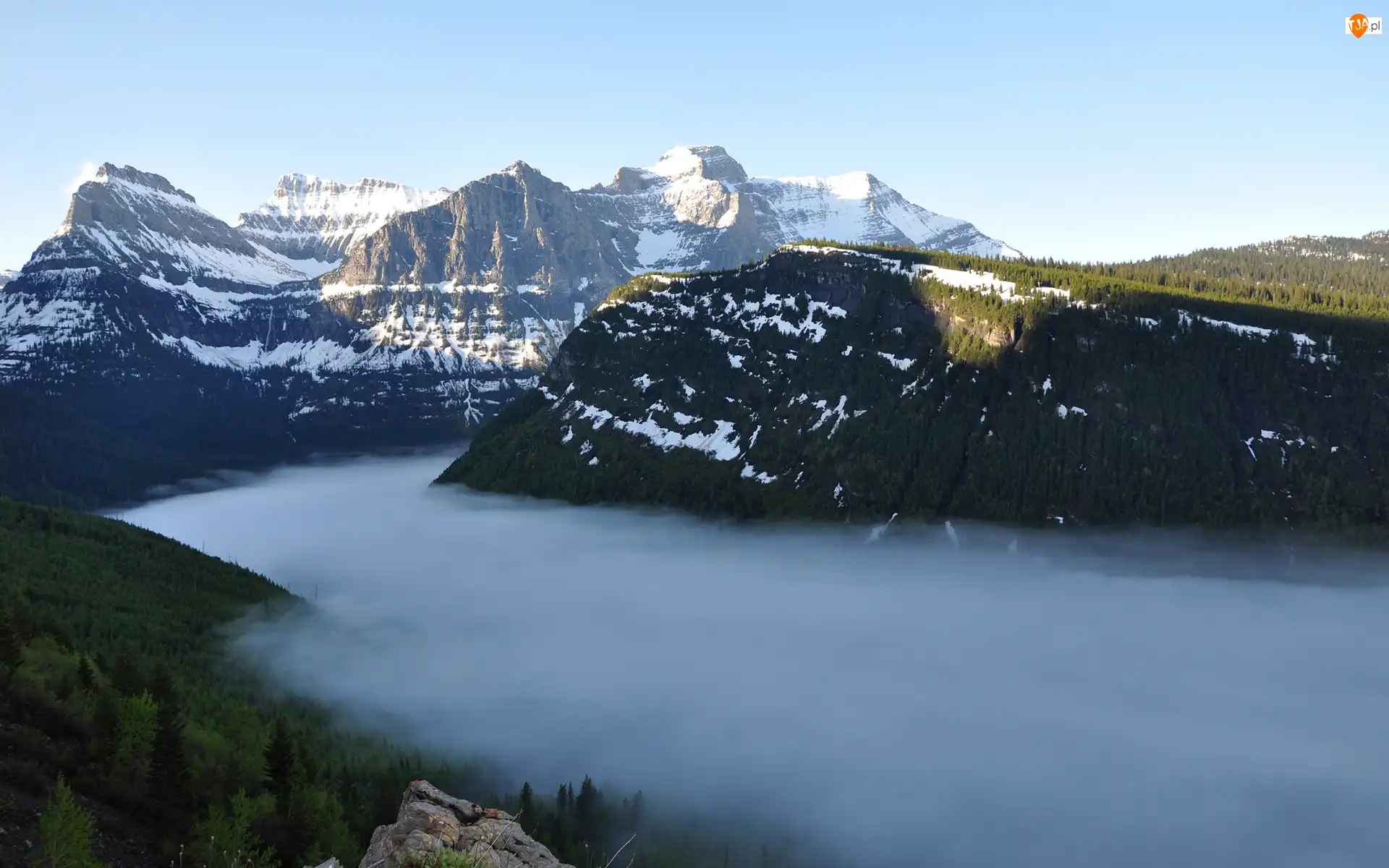 Śnieg, Drzewa, Stany Zjednoczone, Góry Skaliste, Montana, Park Narodowy Glacier, Mgła