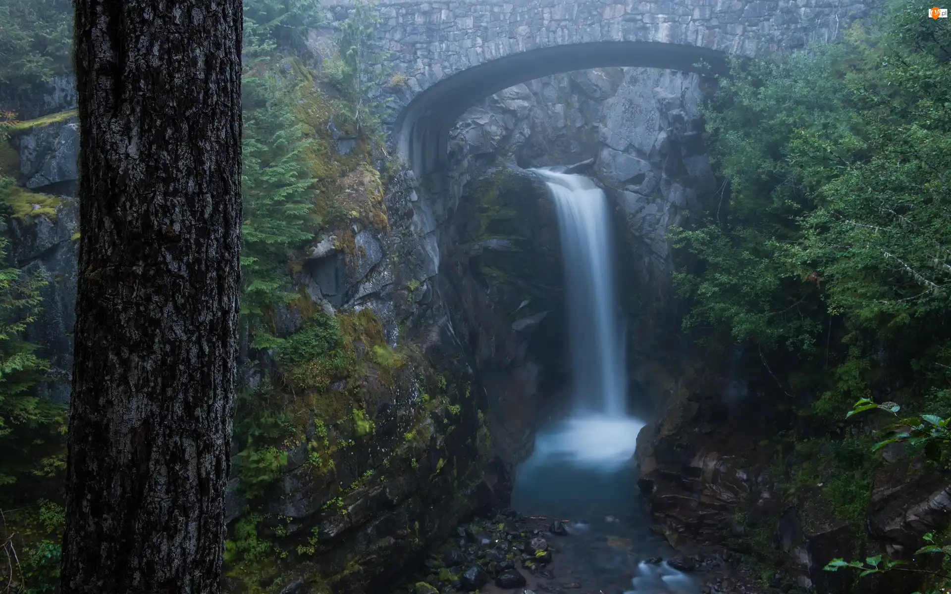Mgła, Wodospad Christine Falls, Drzewa, Rzeka Van Trump Creek, Stan Waszyngton, Stany Zjednoczone, Most, Park Narodowy Mount Rainier, Skały, Las