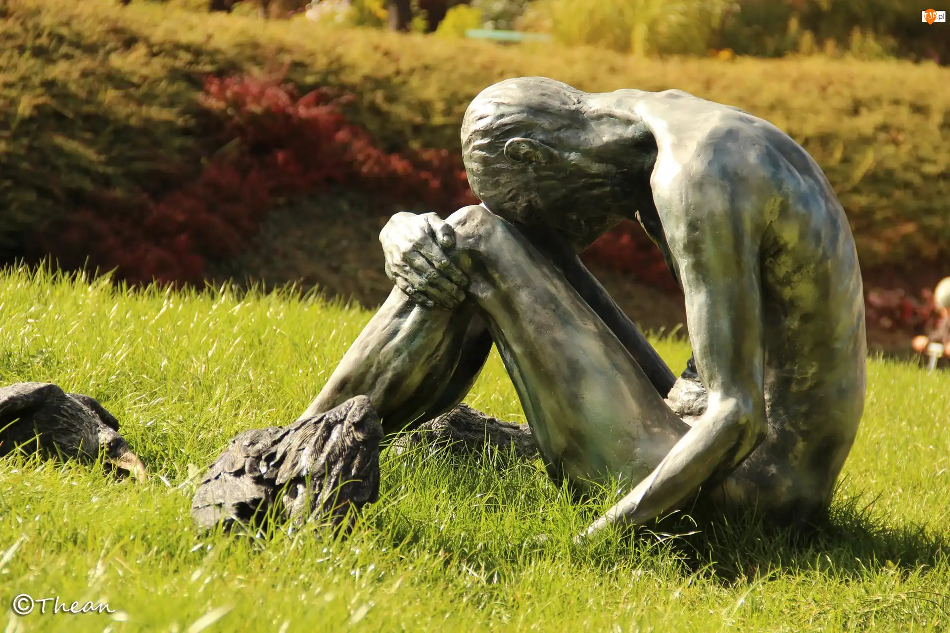 Ogród Botaniczny, Człowiek i Ptaki, Poznań, Polska, Rzeźba