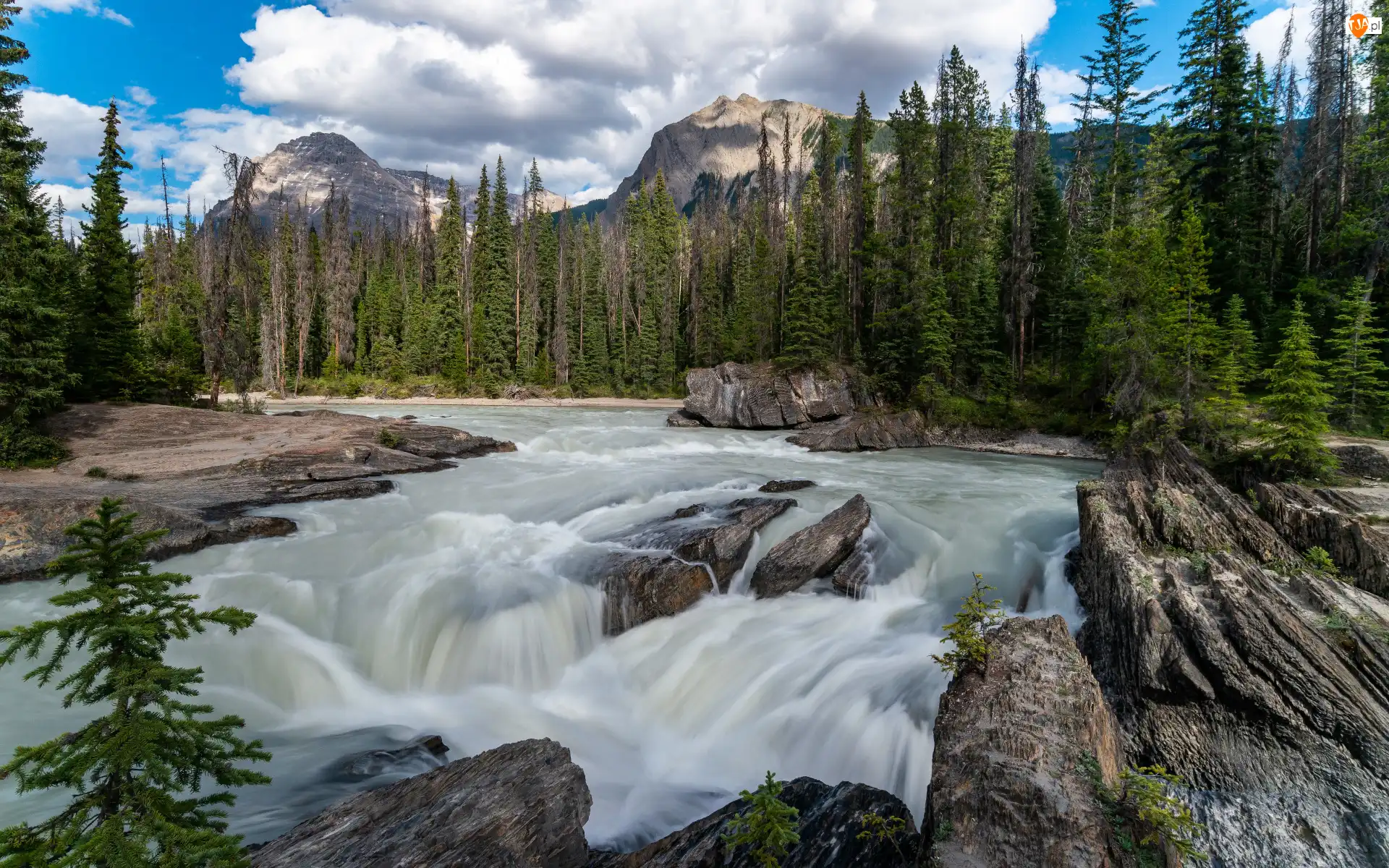 Sunwapta Falls, Las, Wodospad, Kanada, Skały, Park Narodowy Jasper, Góry, Kamienie, Drzewa, Rzeka, Sunwapta River, Alberta