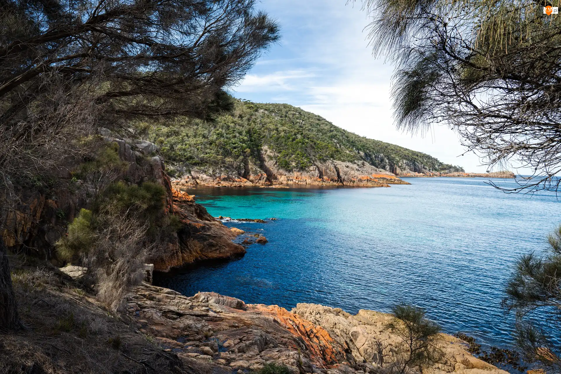 Australia, Skały, Tasmania, Wybrzeże, Park Narodowy Freycineta, Drzewa, Zatoka, Morze, Sleepy Bay