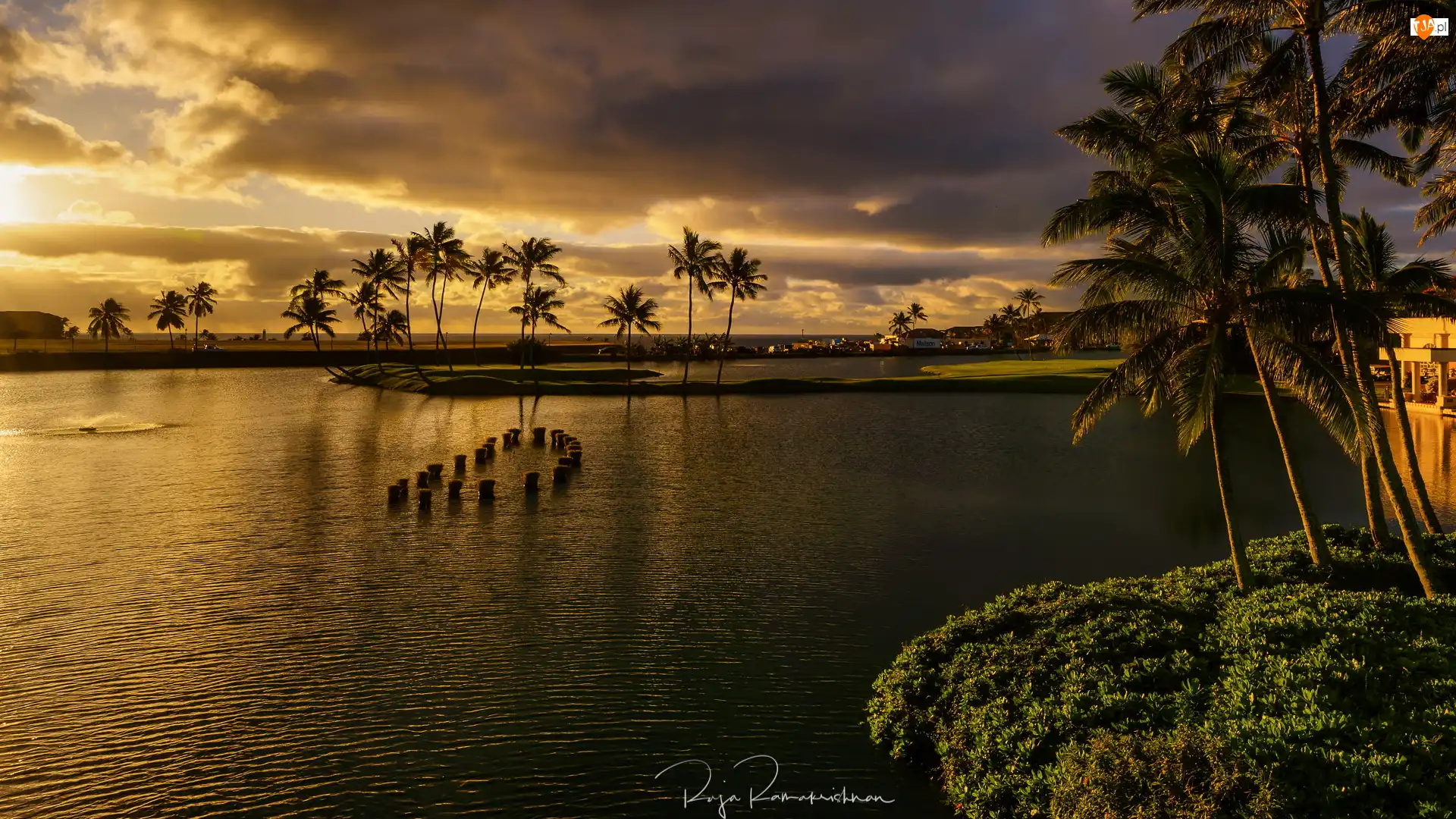 Stany Zjednoczone, Akwen, Hawaje, Lihue, Wyspa Kauai, Palmy, Ciemne, Morze, Chmury