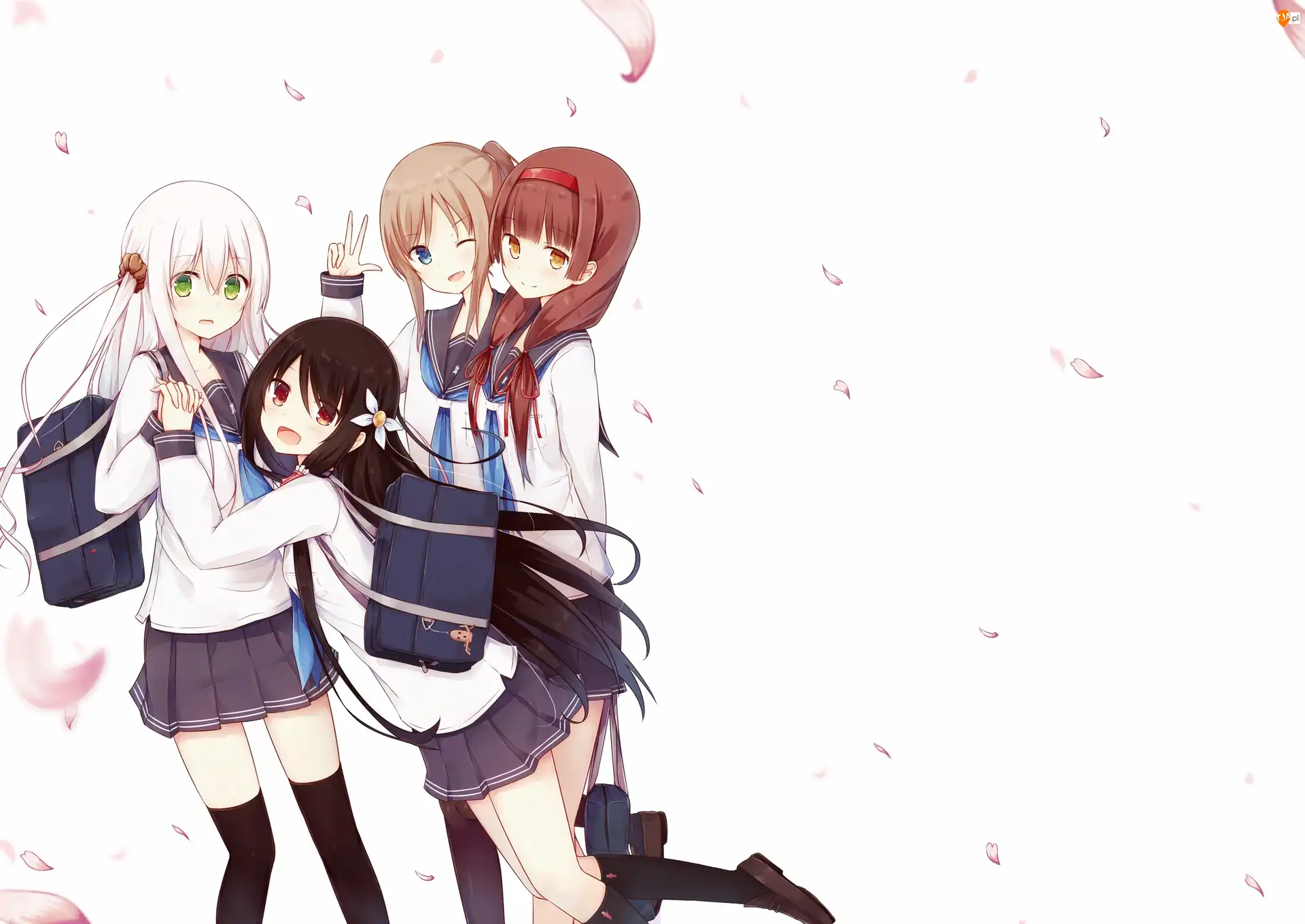 Anime, Dziewczyny, Płatki kwiatów