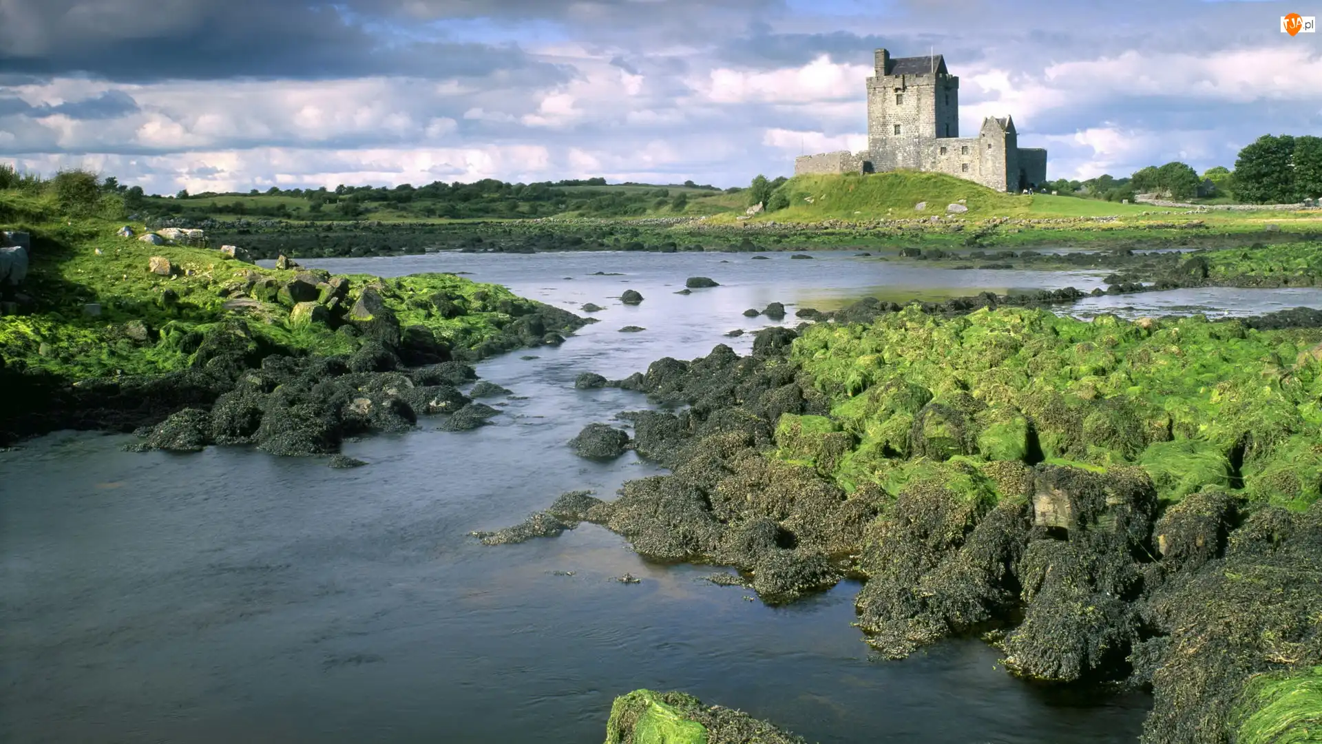 Szkocja, Skały, Eilean Donan, Zamek, Zielone